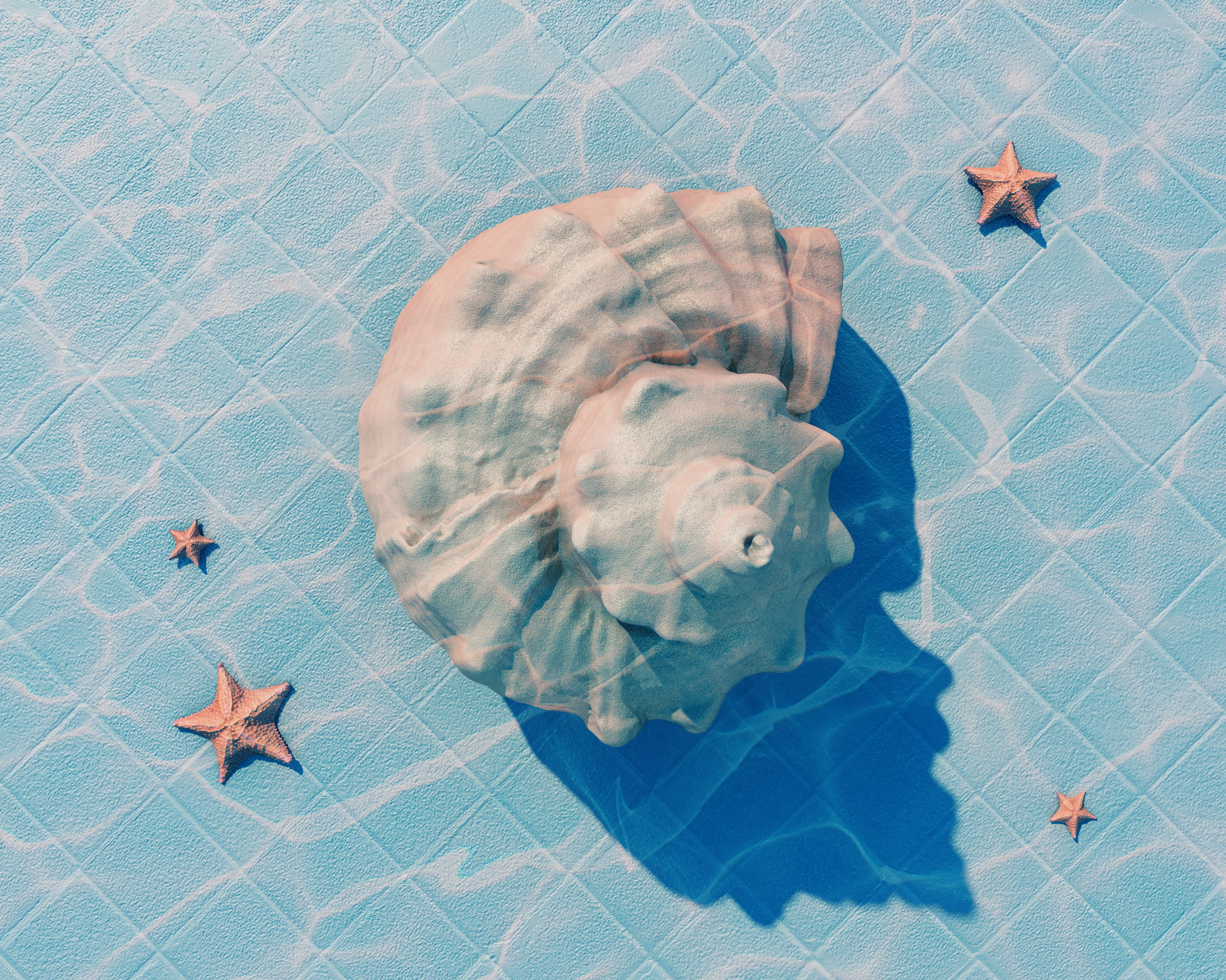 Summer conch shell and starfish in blue pool