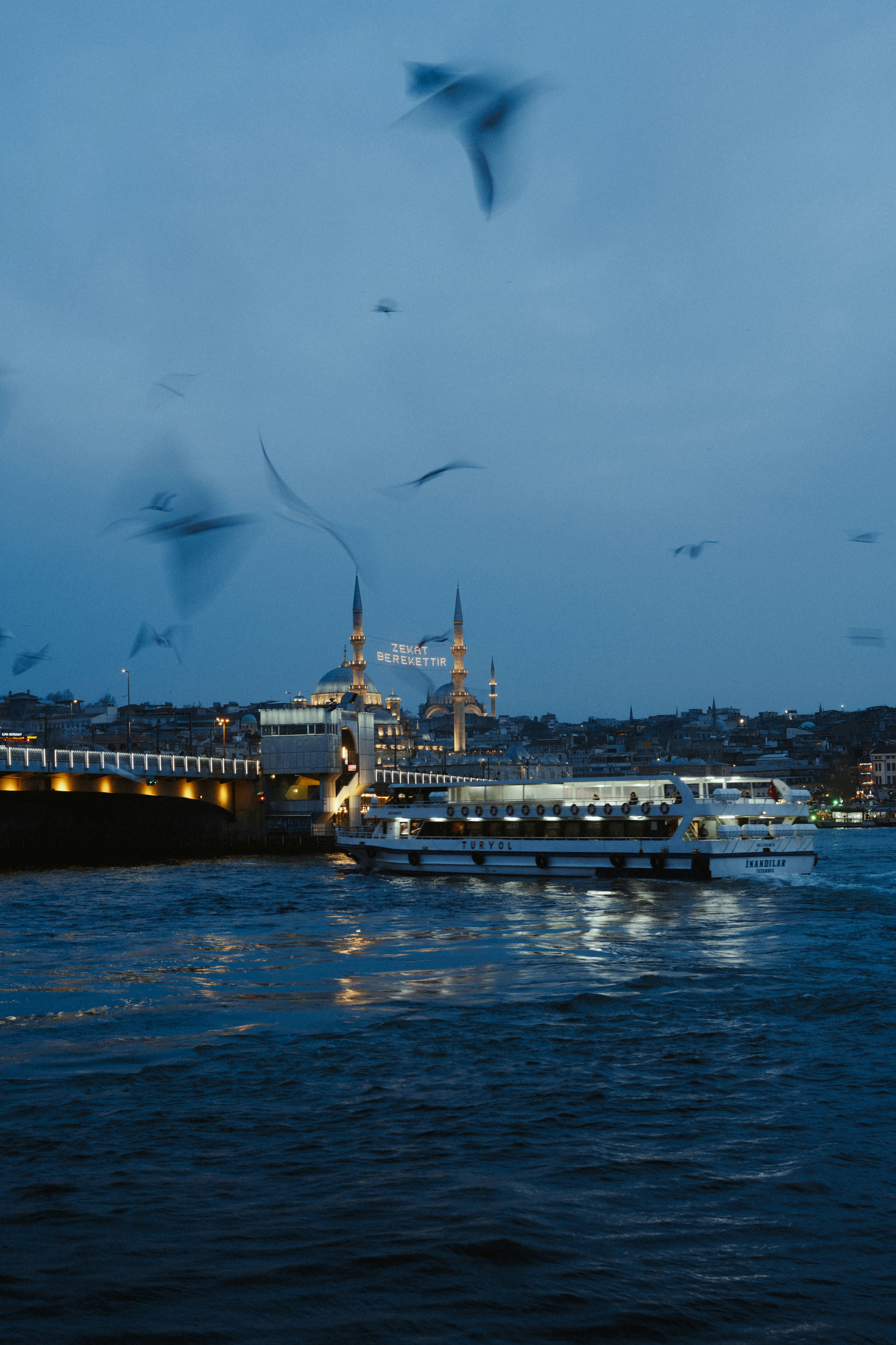 Illuminated boat on water with city skyline and blurred birds.
