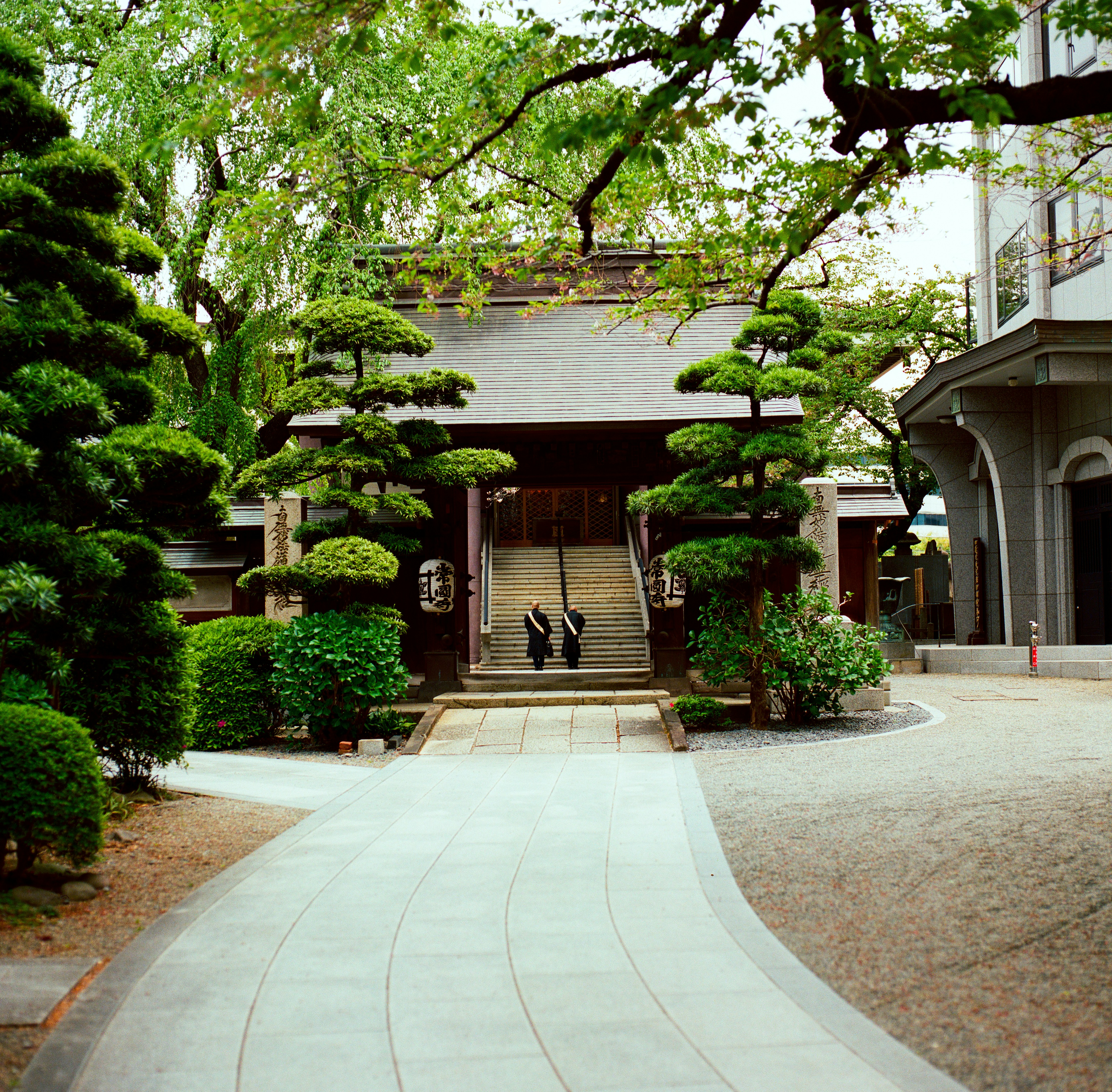 Traditional japanese temple surrounded by lush green trees