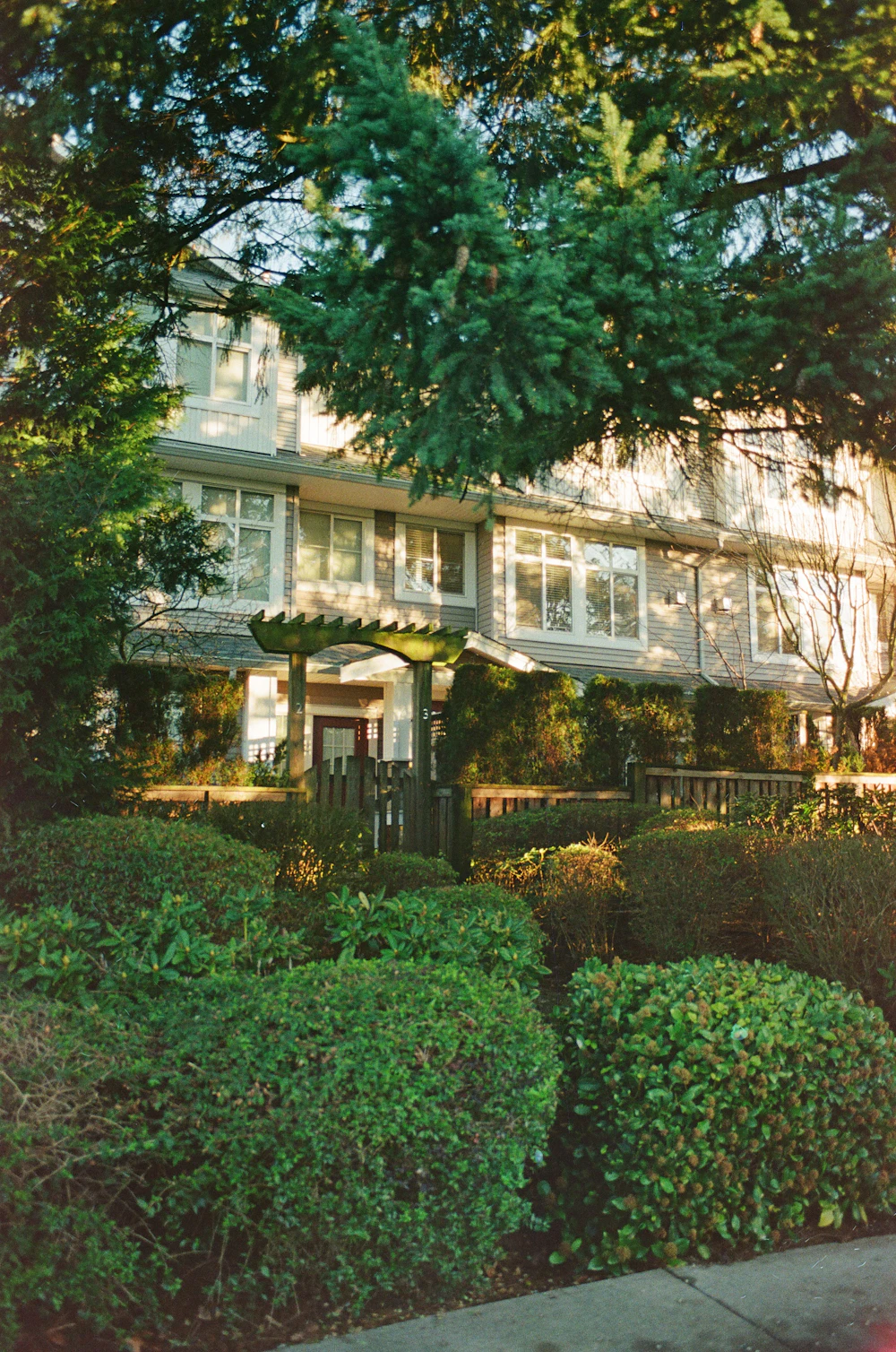 Maintained multi-unit residential building with established common-area landscaping