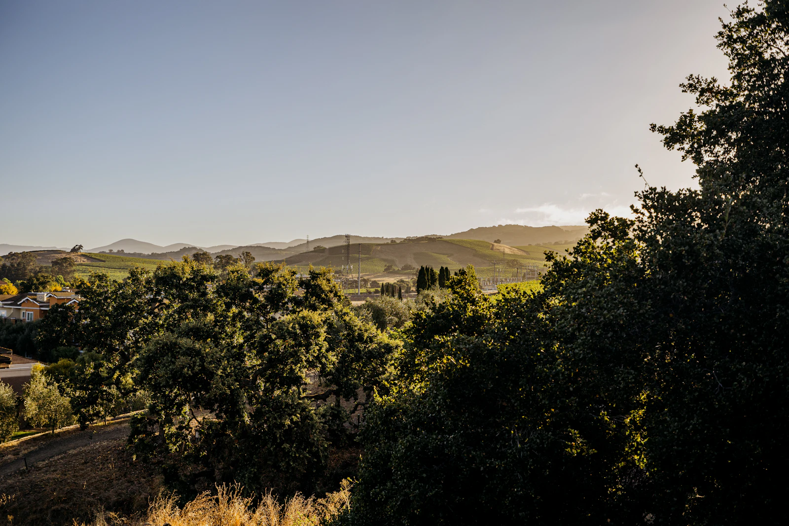 Auberge du Soleil: The Napa Valley Flagship of the Collection