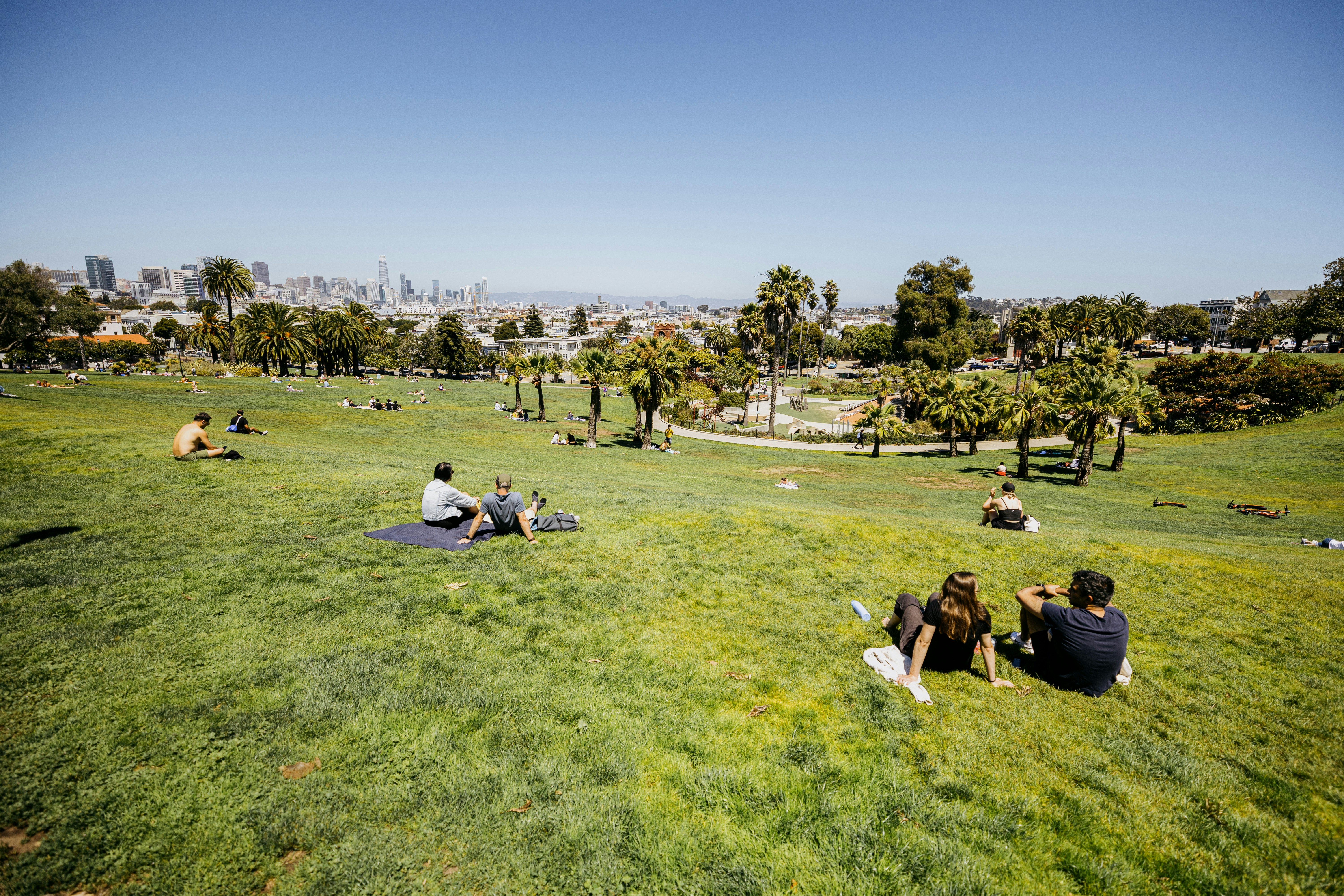 Relaxing in a sunny park overlooking a distant city skyline.