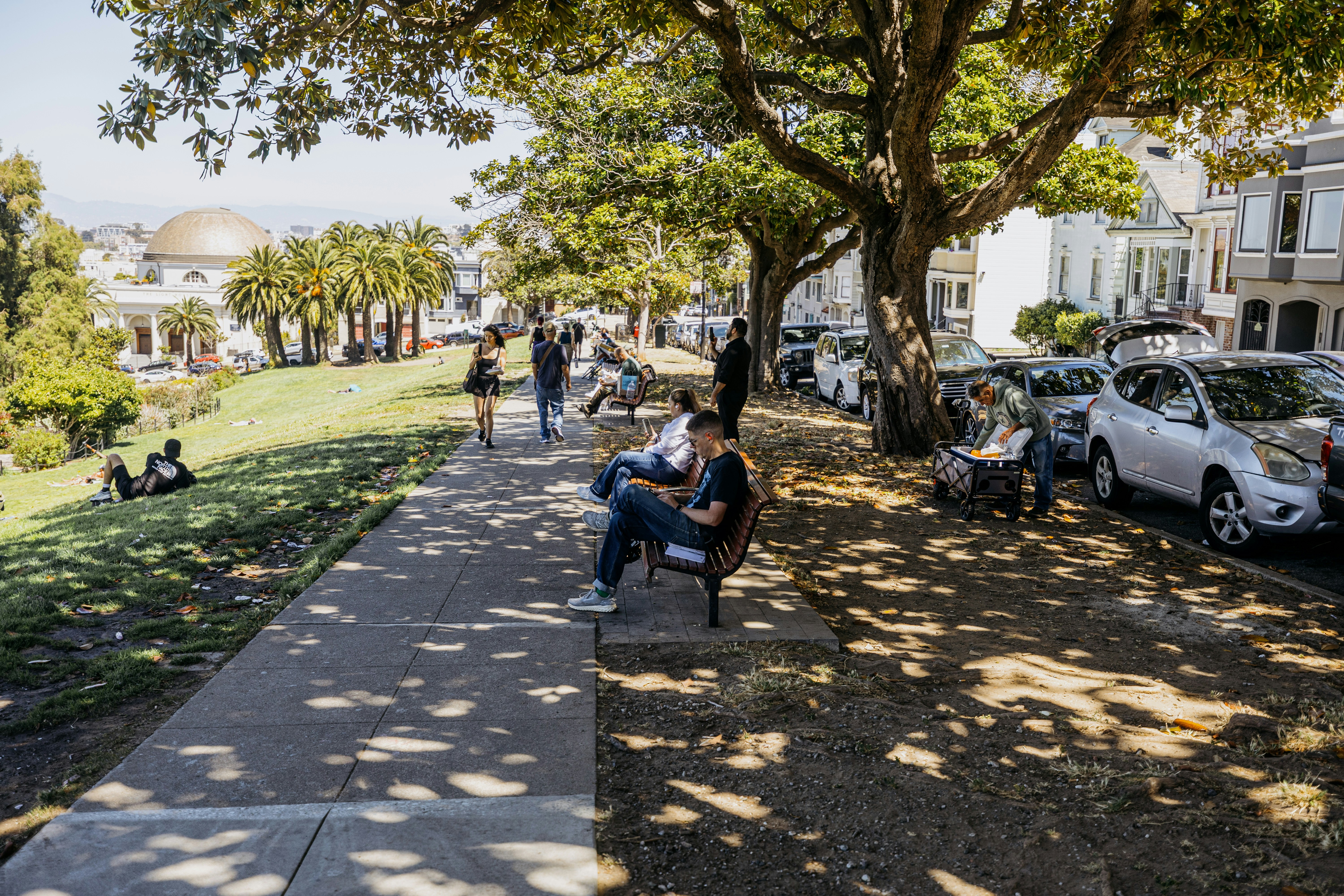 People relaxing in a sunny park with trees and cars.