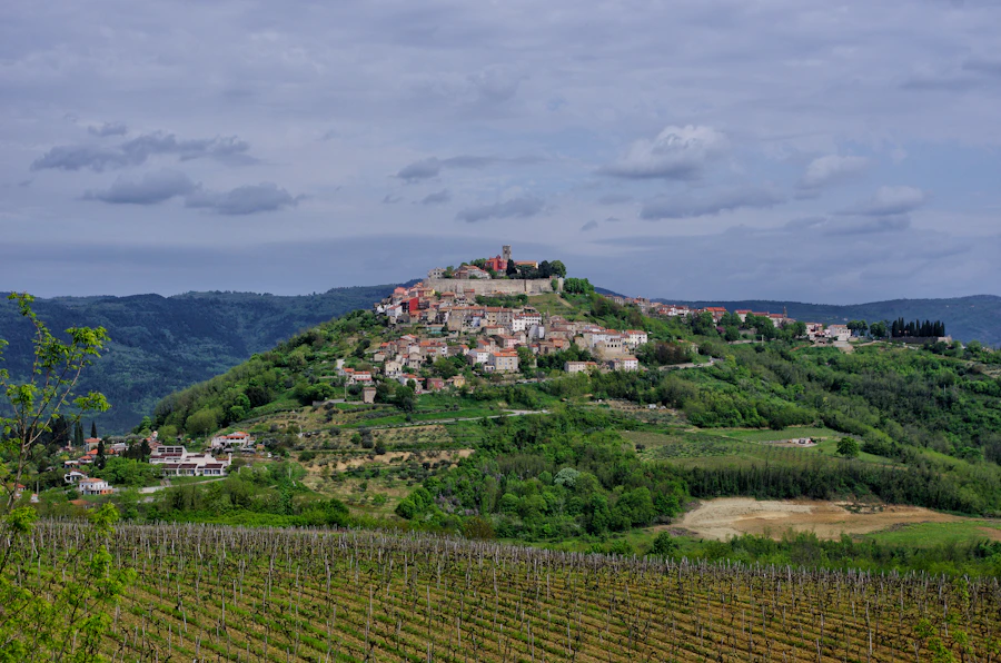 Pueblo medieval sobre una colina con viñedos en Istria