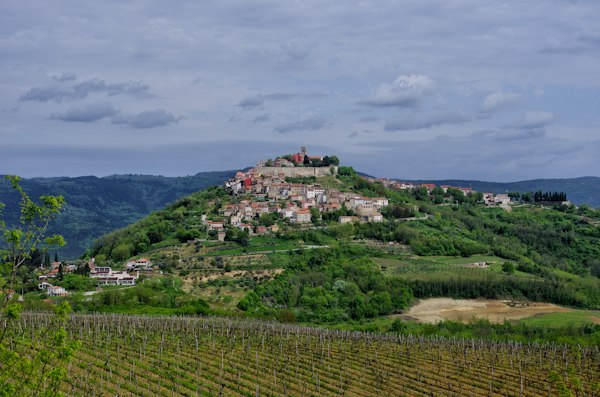 Vineyard rows on a slope below a hilltop stone village