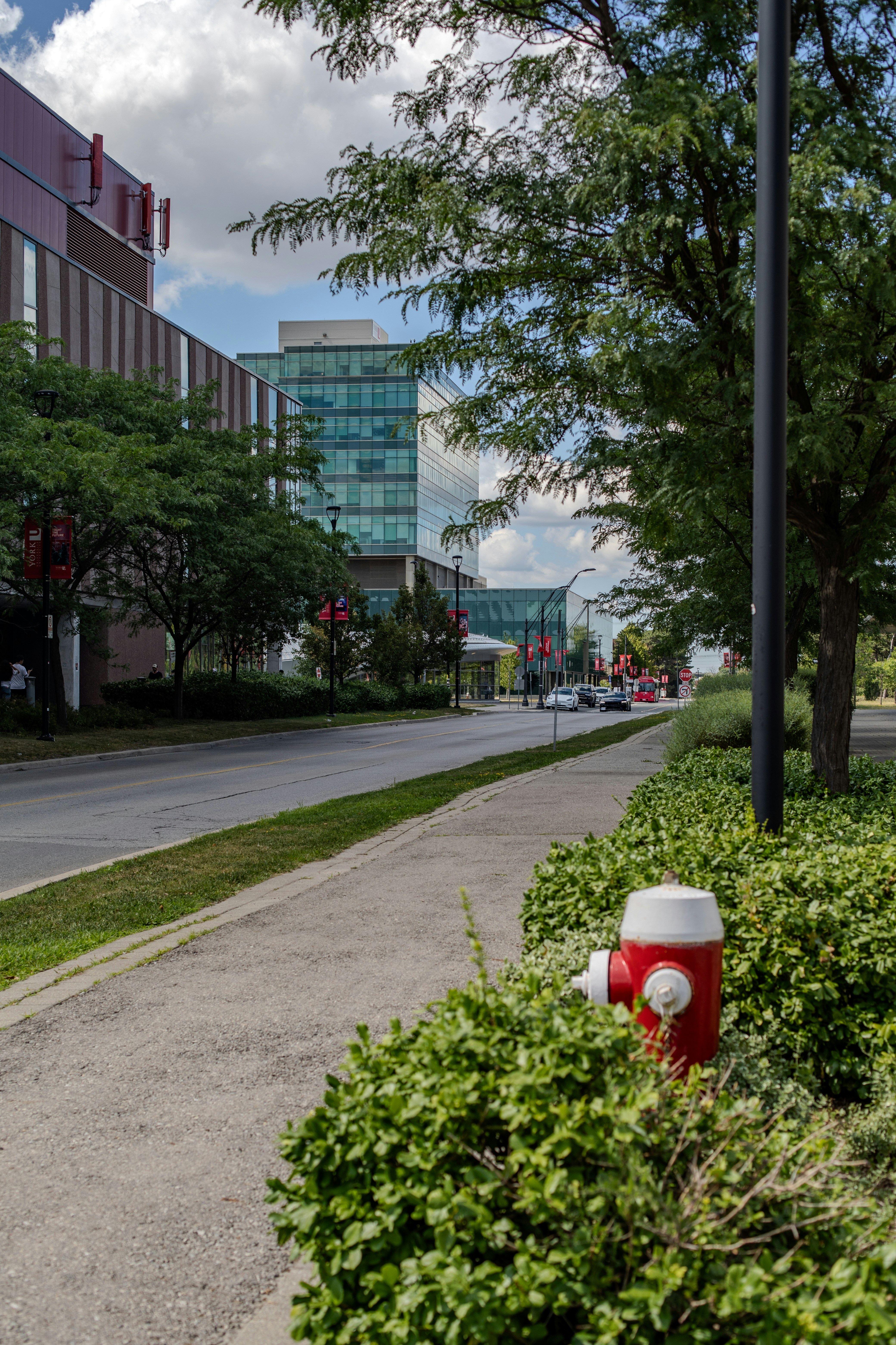 Red fire hydrant on sidewalk with modern buildings and trees