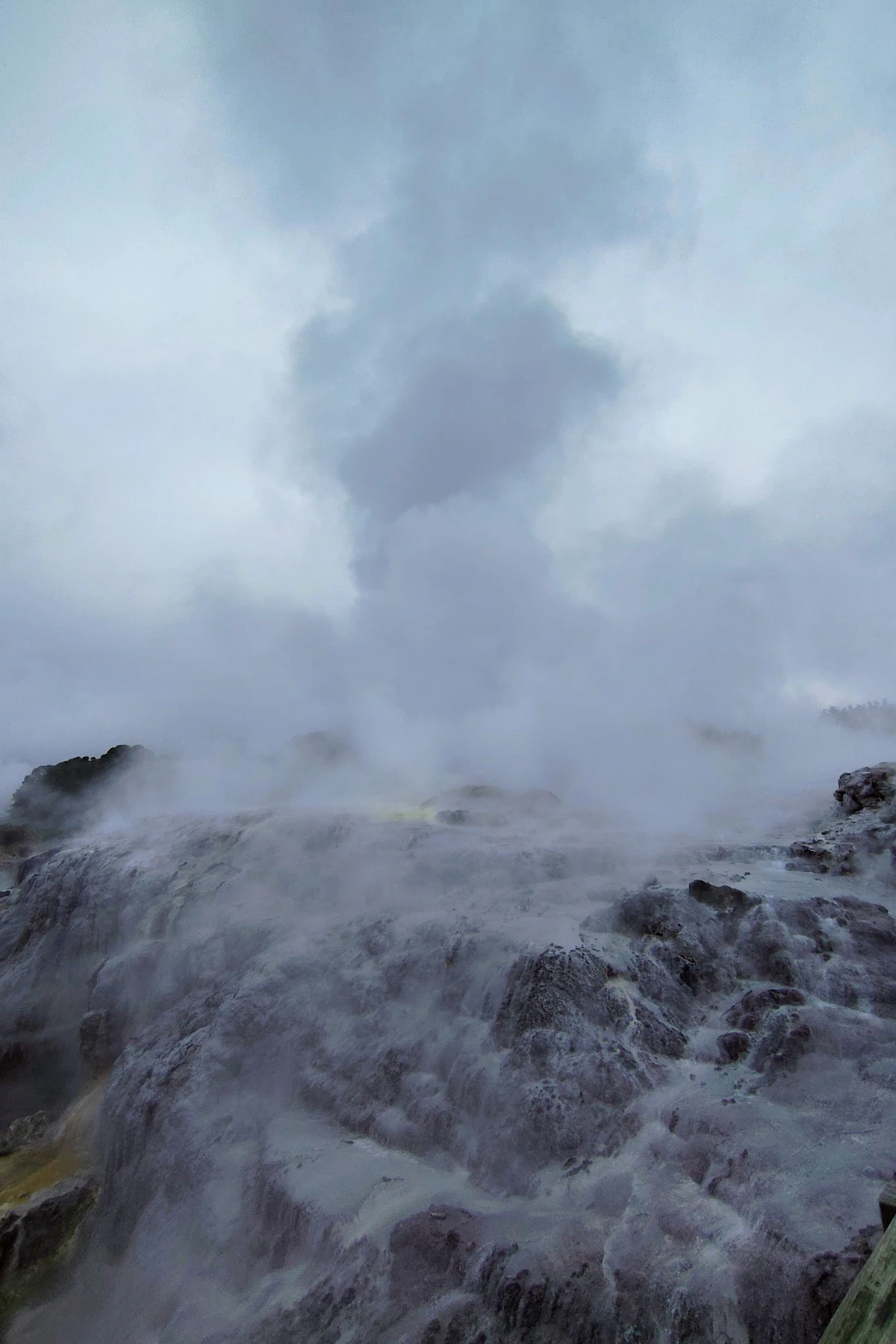 Steam pouring off Pohutu Geyser at Te Puia in Rotorua under a grey sky