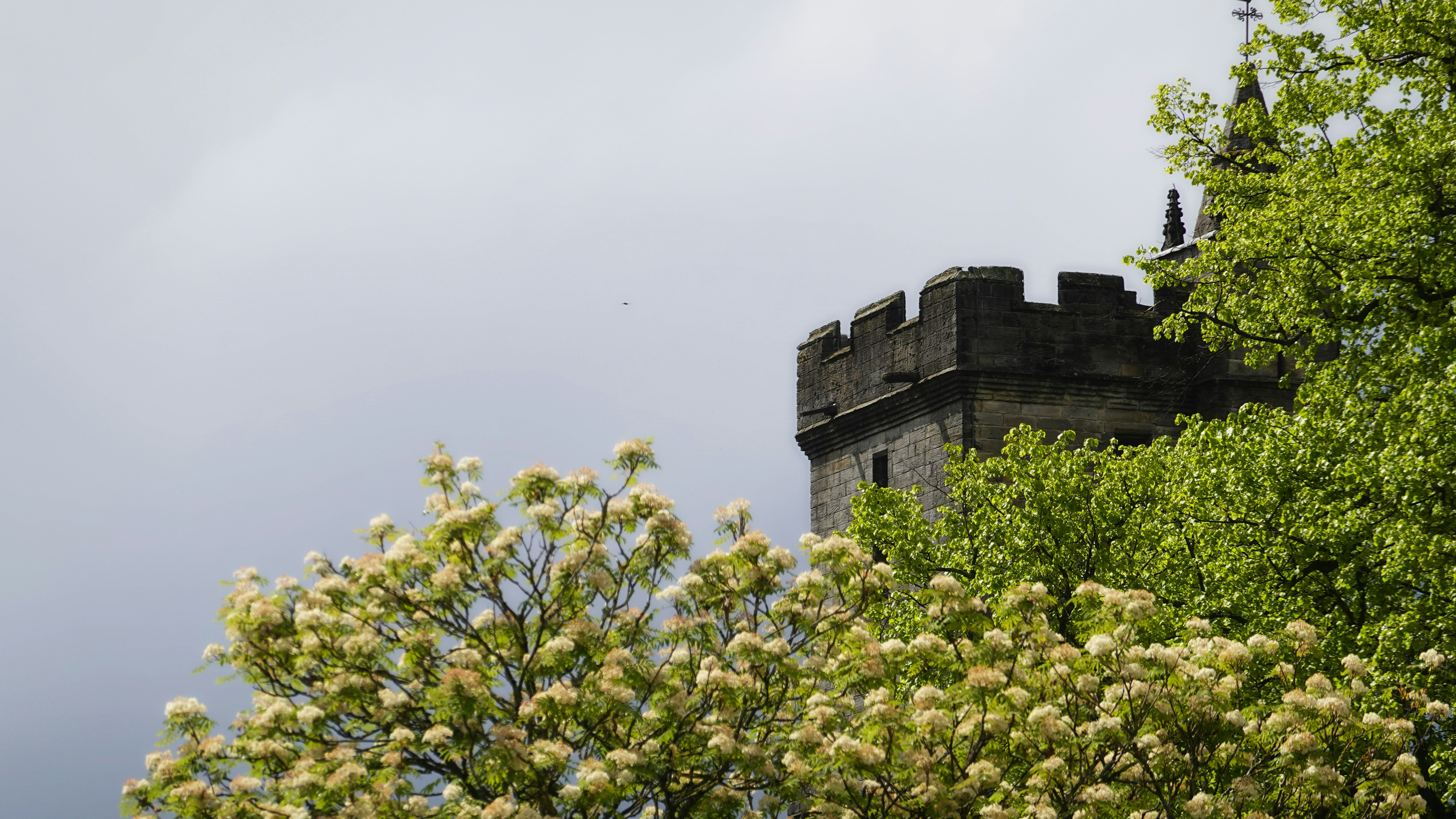 Torre di castello di pietra che spuntava tra alberi verdi sotto un cielo nuvoloso.
