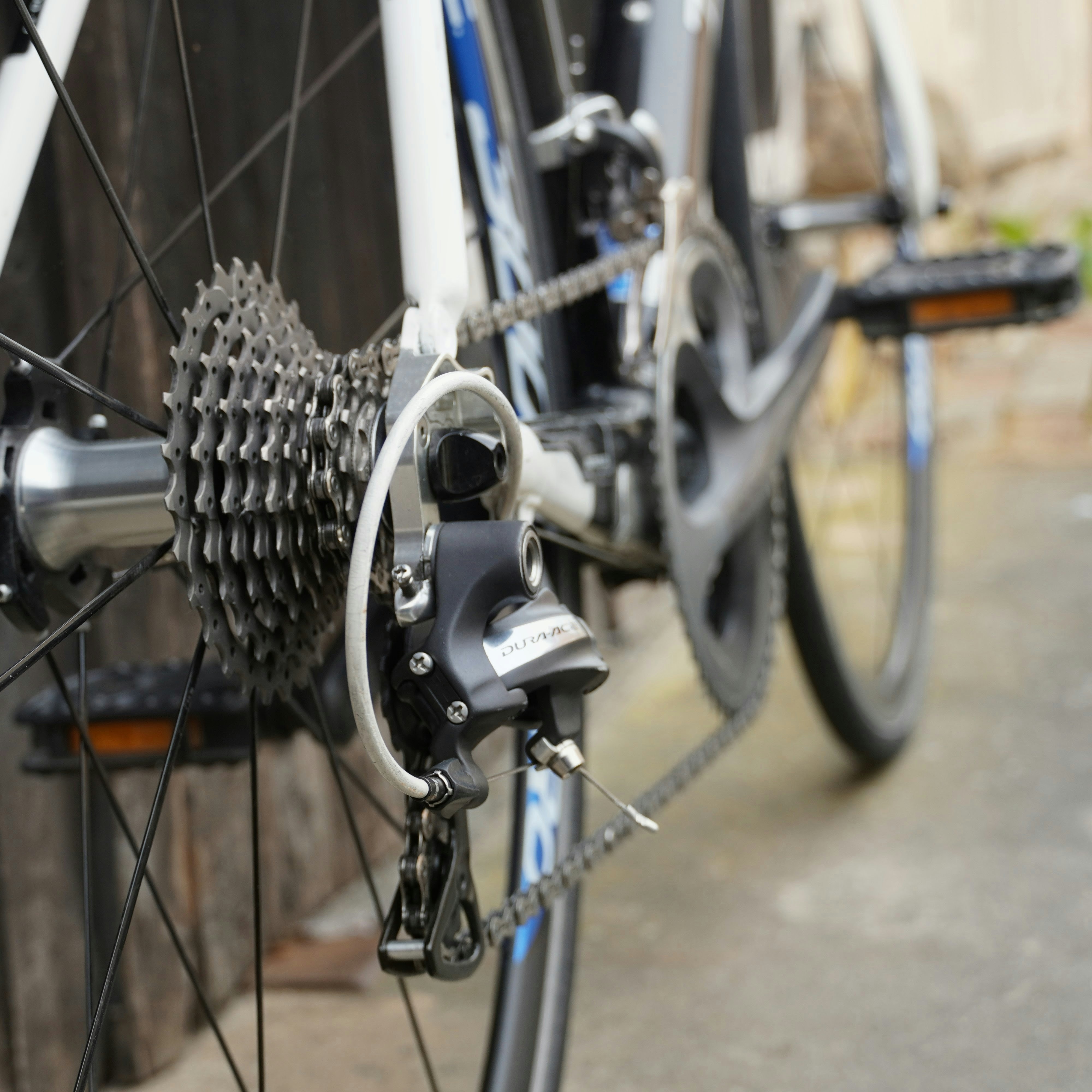 Rear gears and chain of a bicycle