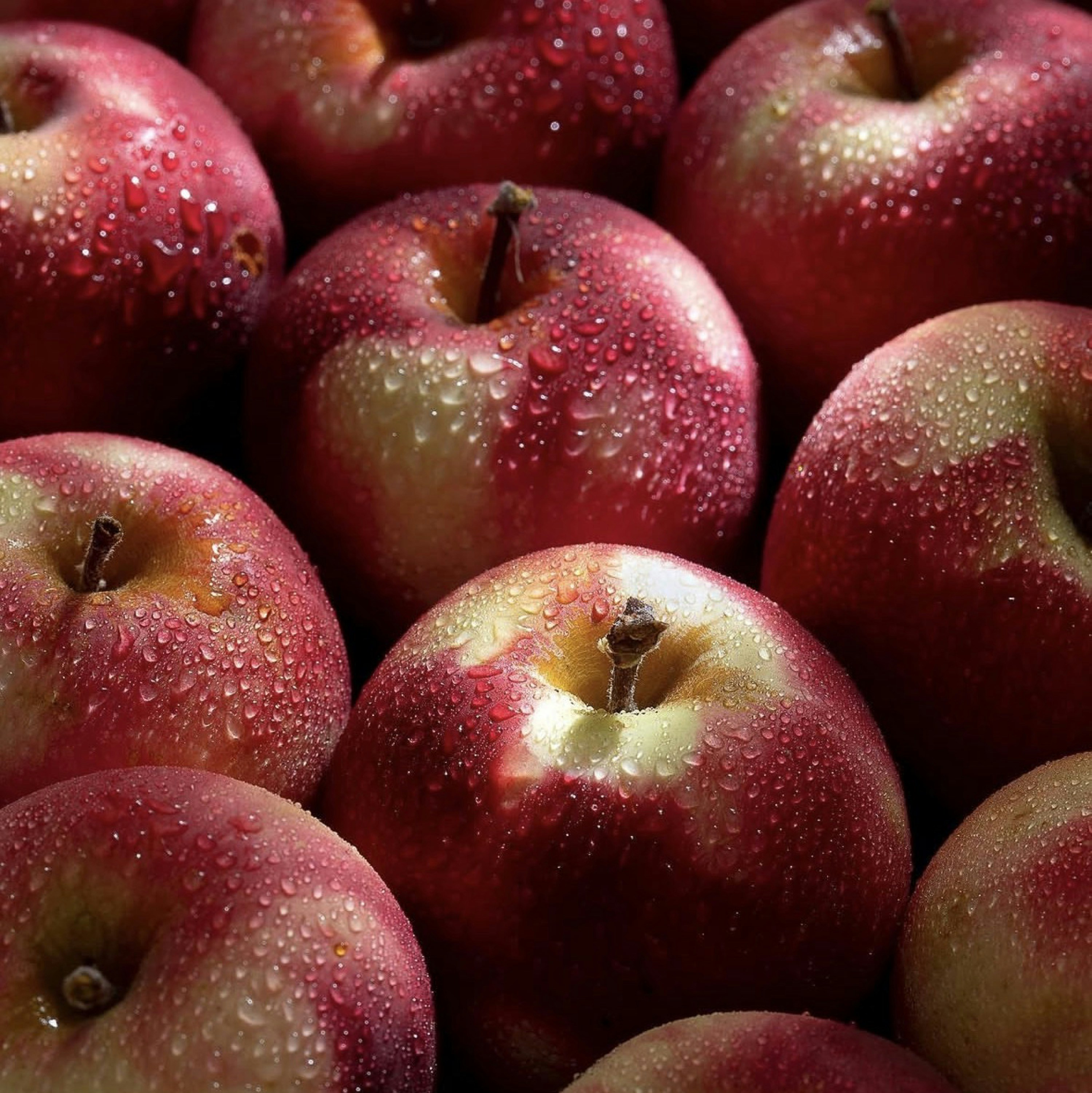 fresh red apples wallpaper, wallpaper, Kandungan Buah Apel dan Manfaat Luar Biasa bagi Kesehatan 4