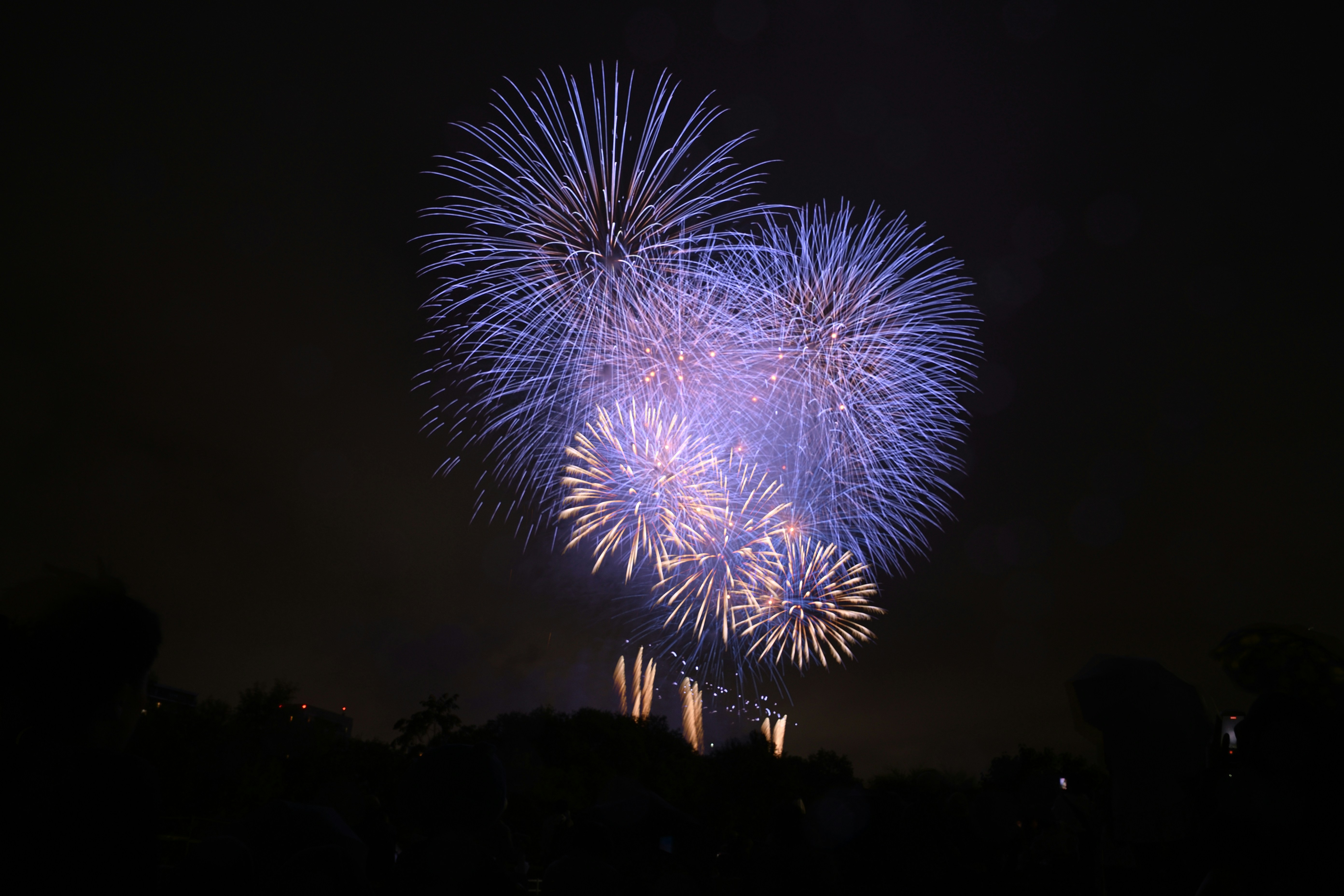 Blue and purple fireworks illuminate the dark night sky.