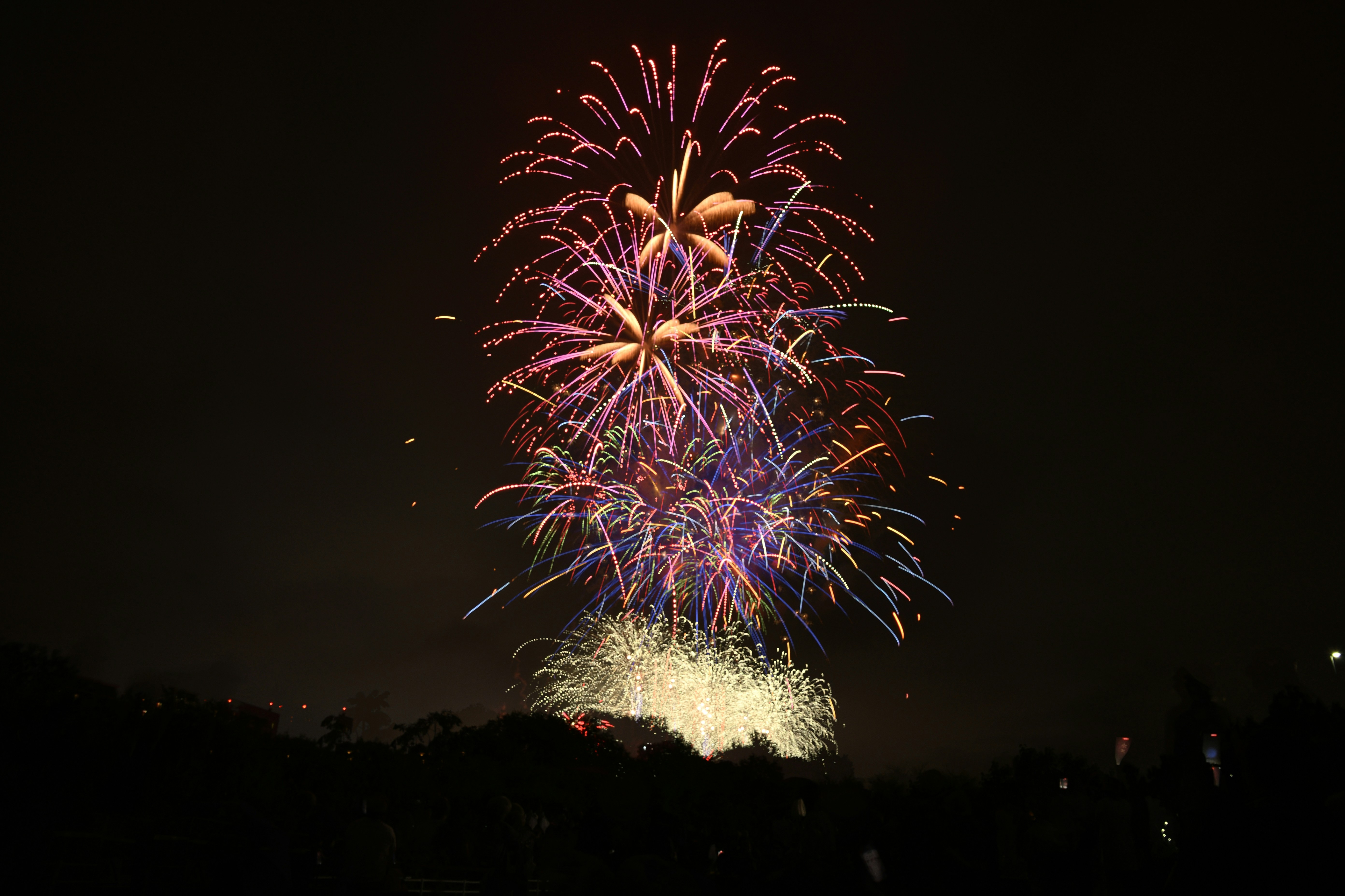 Colorful fireworks explode against the dark night sky.