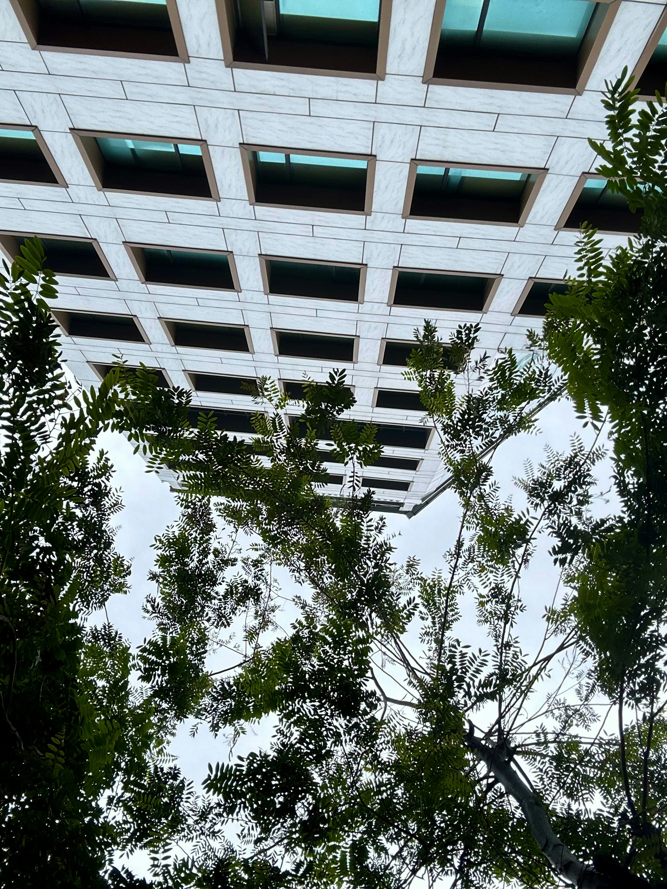 Tall building with grid windows framed by green trees.