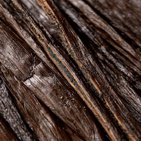 Dark vanilla beans with visible seeds