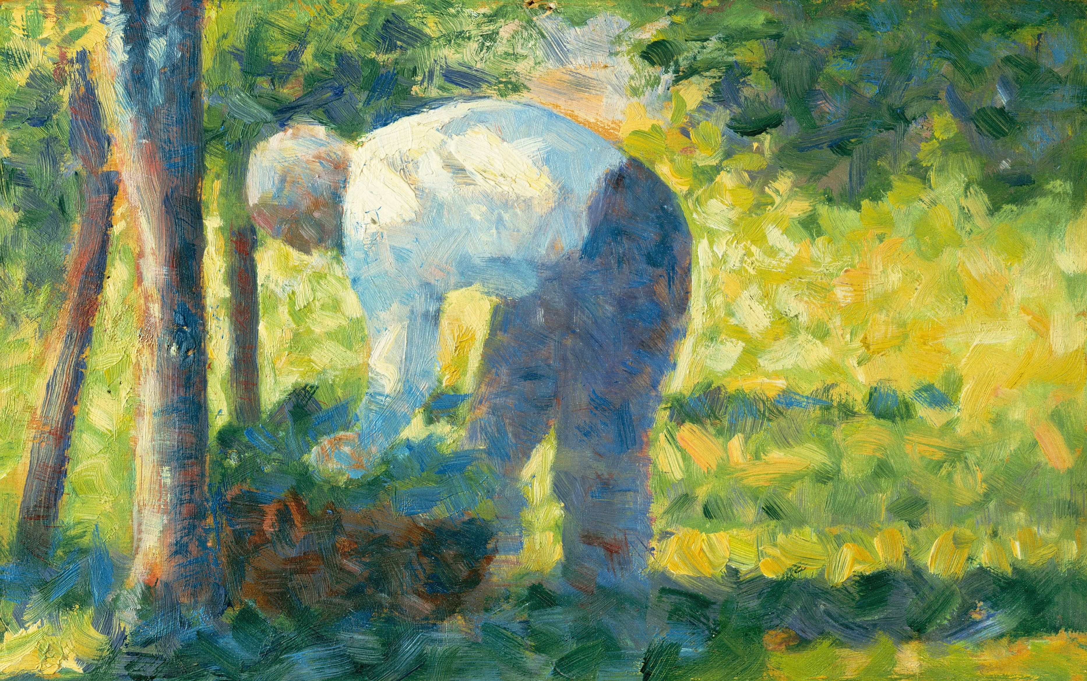 A person bends over in a sunlit garden