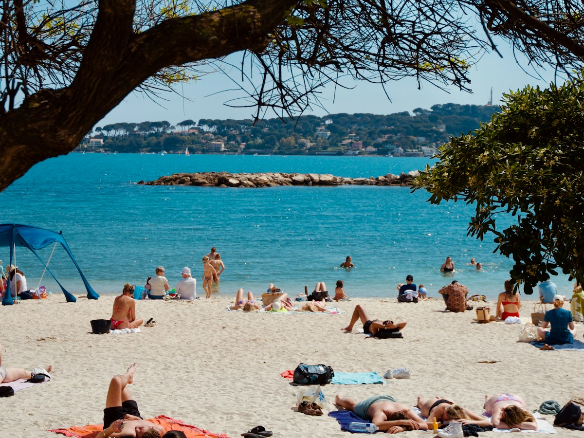 A shaded beach seen from under a tree