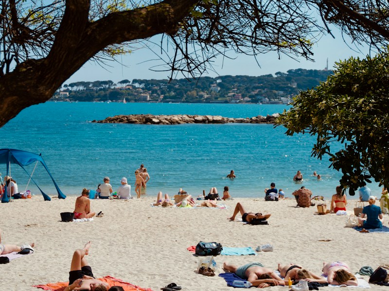 A shaded beach seen from under a tree