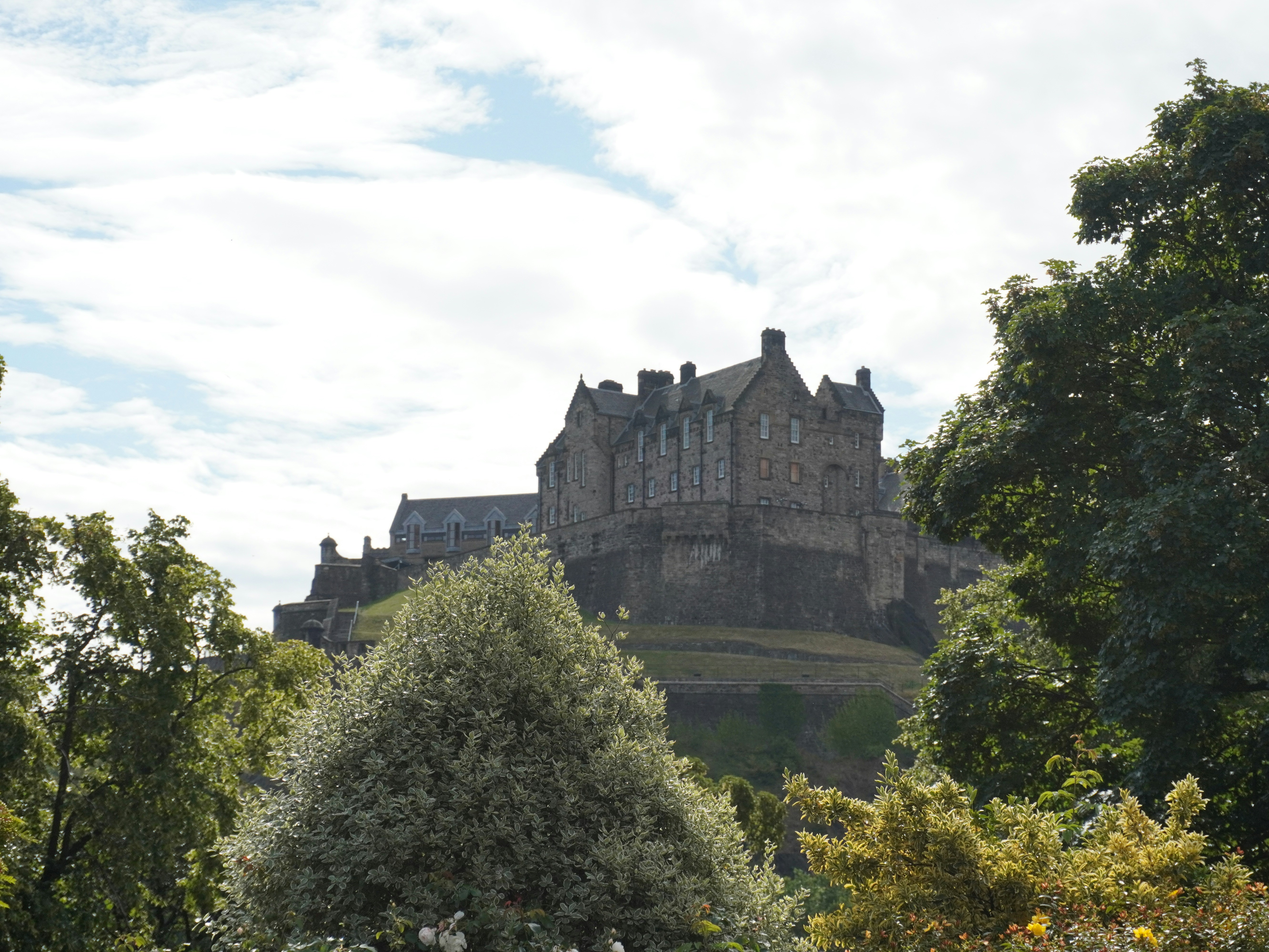 Ancient castle on a hill framed by vibrant green trees.