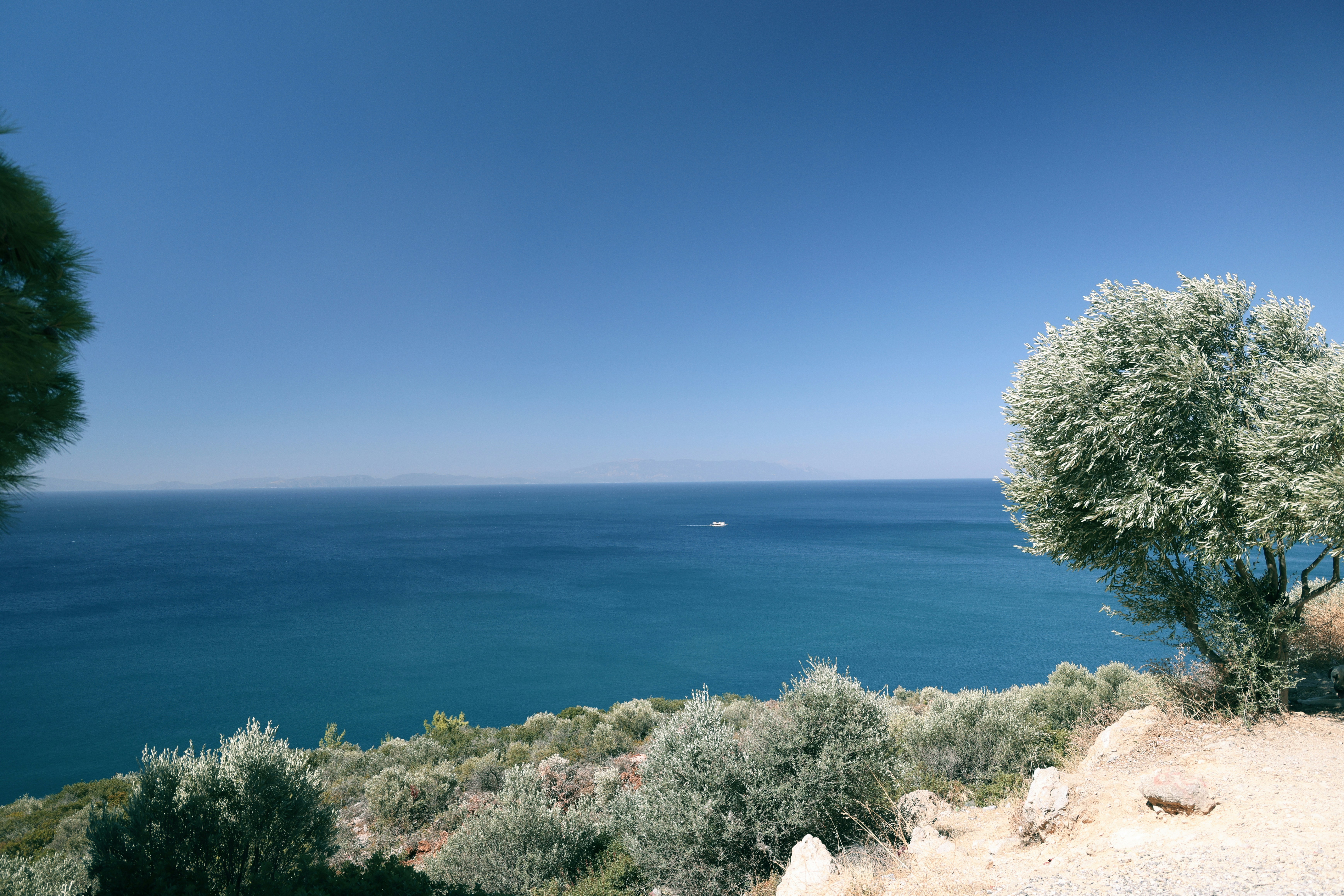 Bright coastal scene with a clear blue sea, rocky foreground, and a lone tree on the right; the composition draws the eye toward the horizon over calm water.
