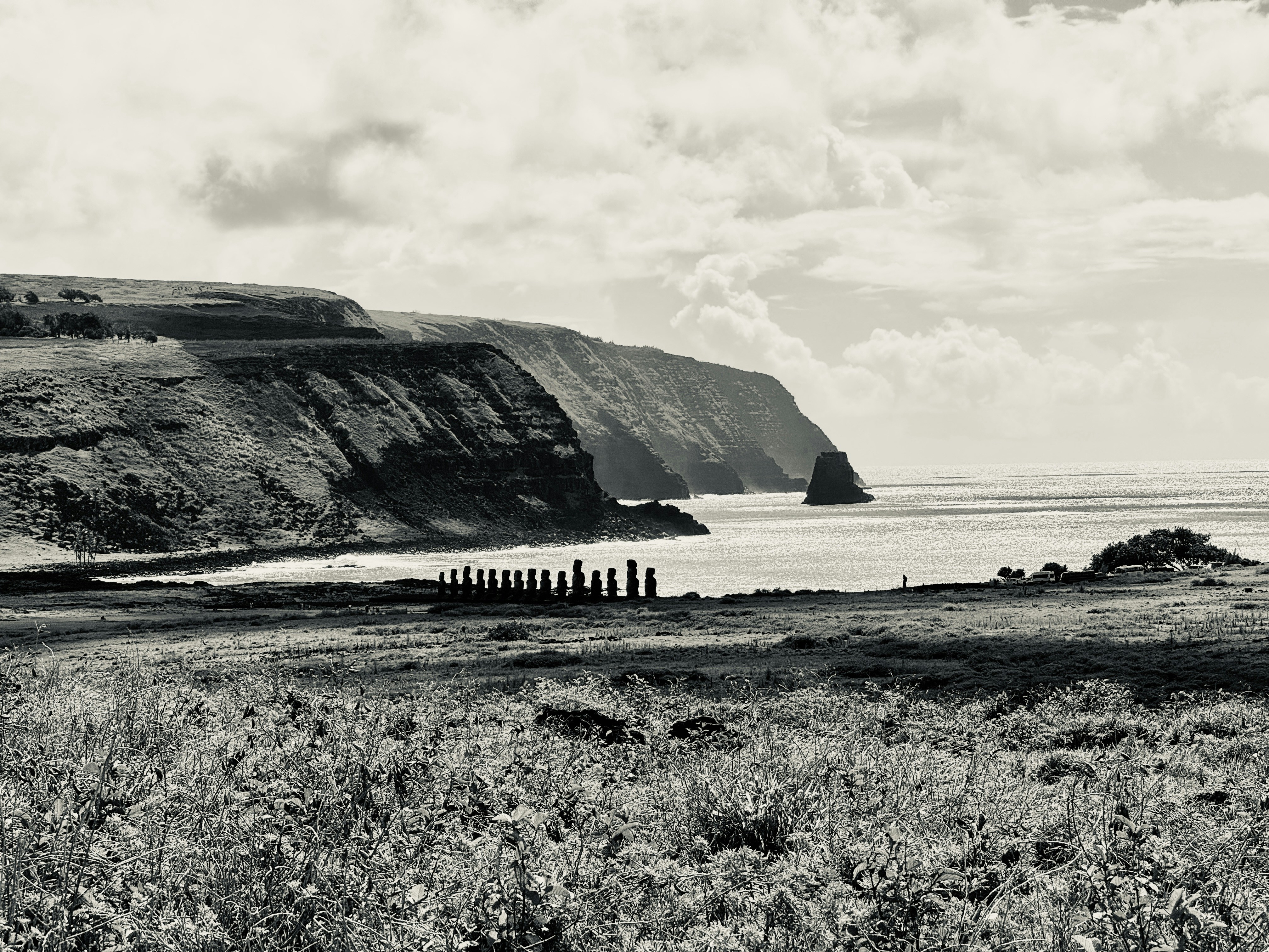 Moai statues line a dramatic black and white coastal landscape