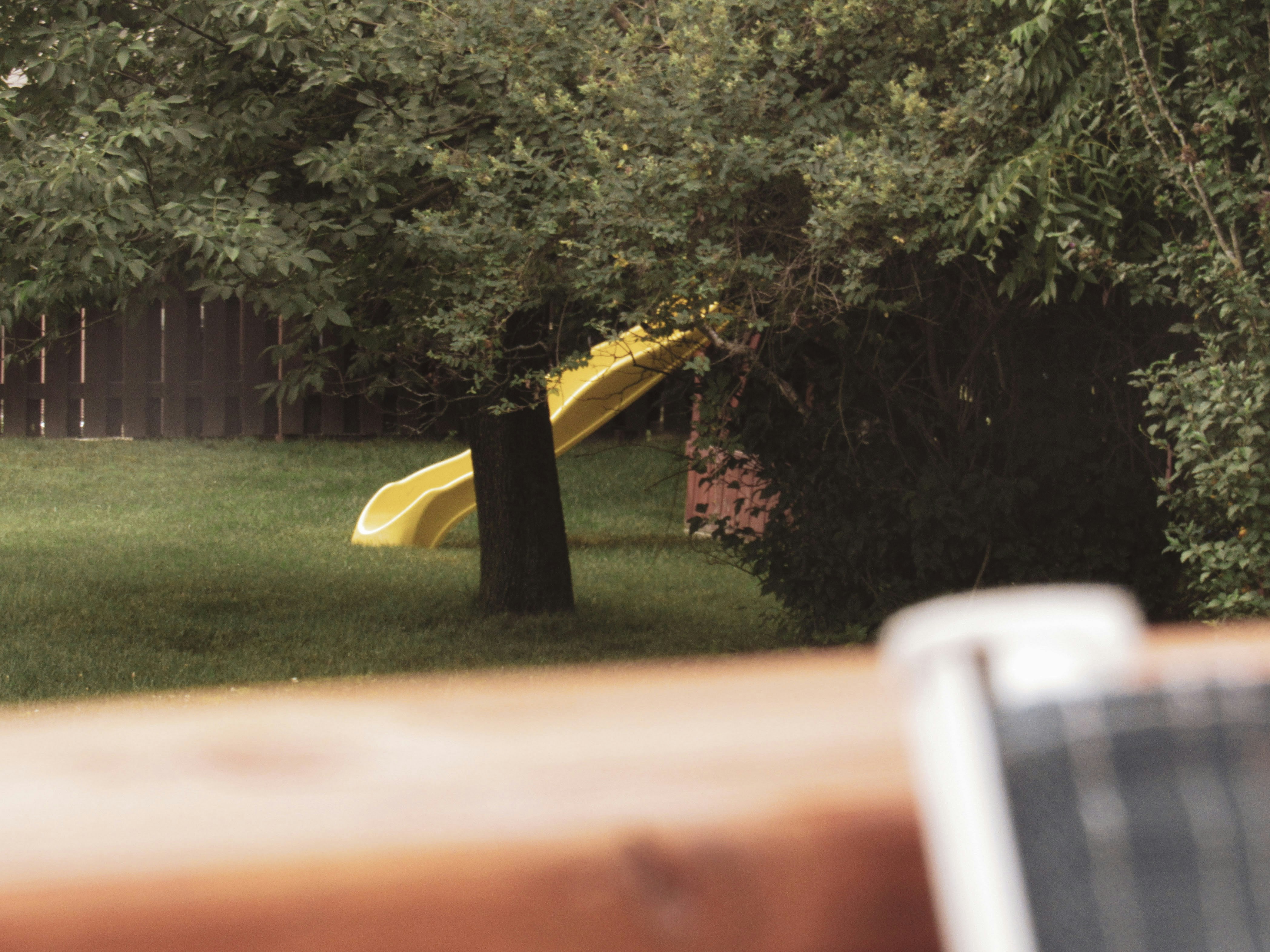 Shallow puddle of standing water on a backyard lawn after rain with a fence in the background