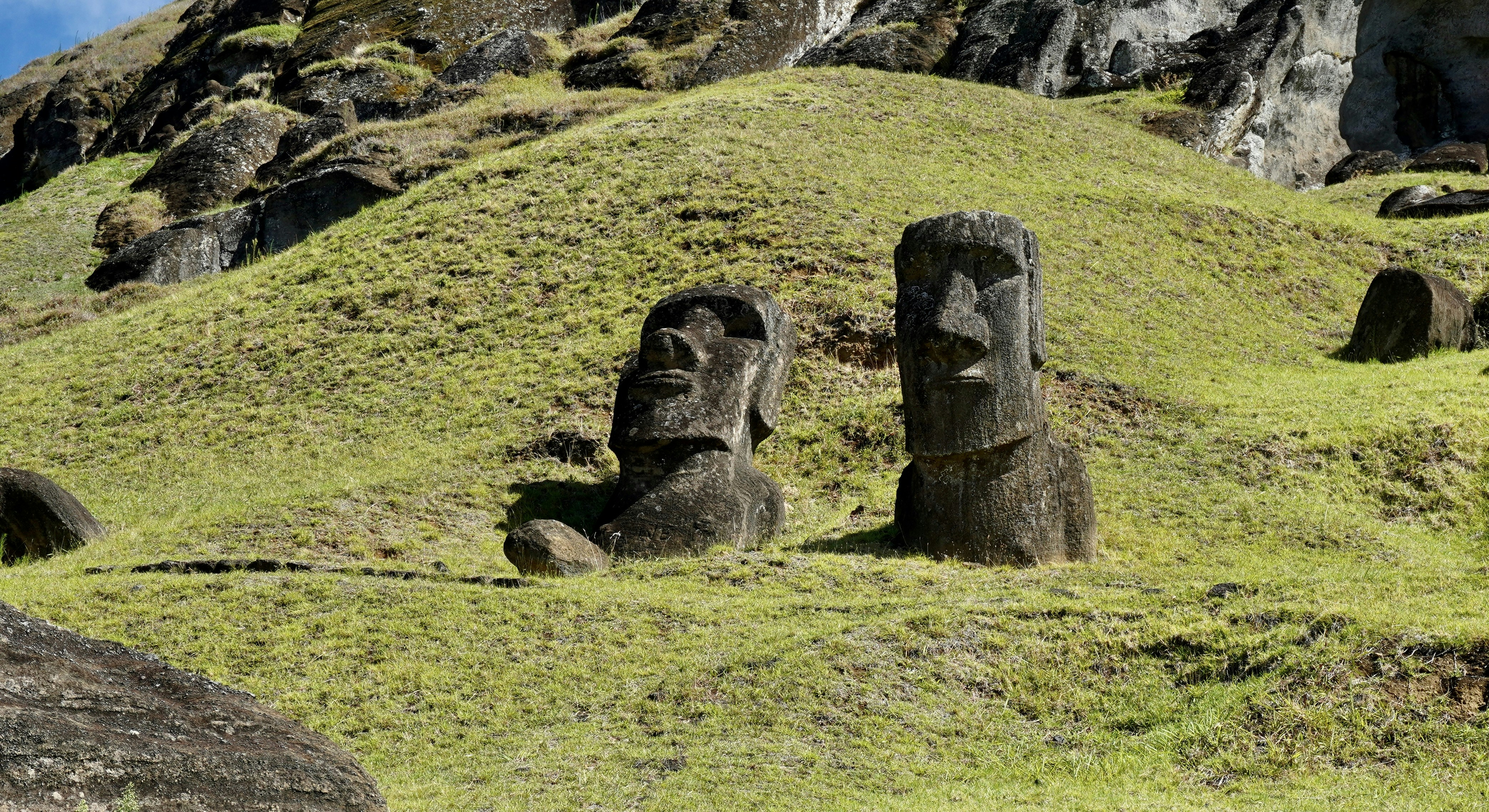 Two ancient moai statues stand on a green grassy hill