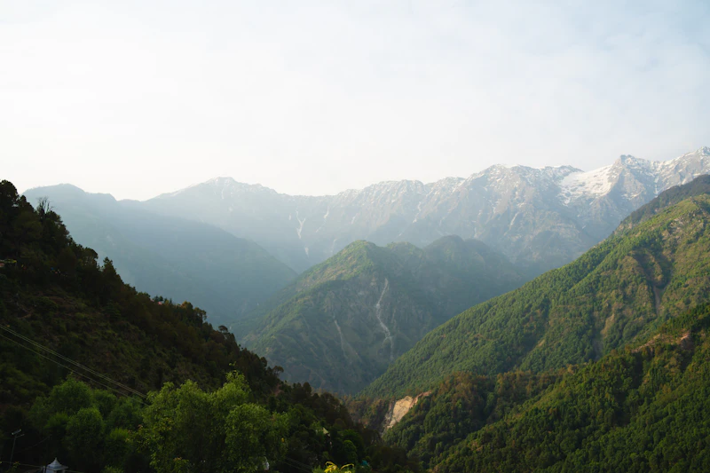 Best Time to Visit Dharamshala: Month-by-Month Guide for Every Type of Traveller