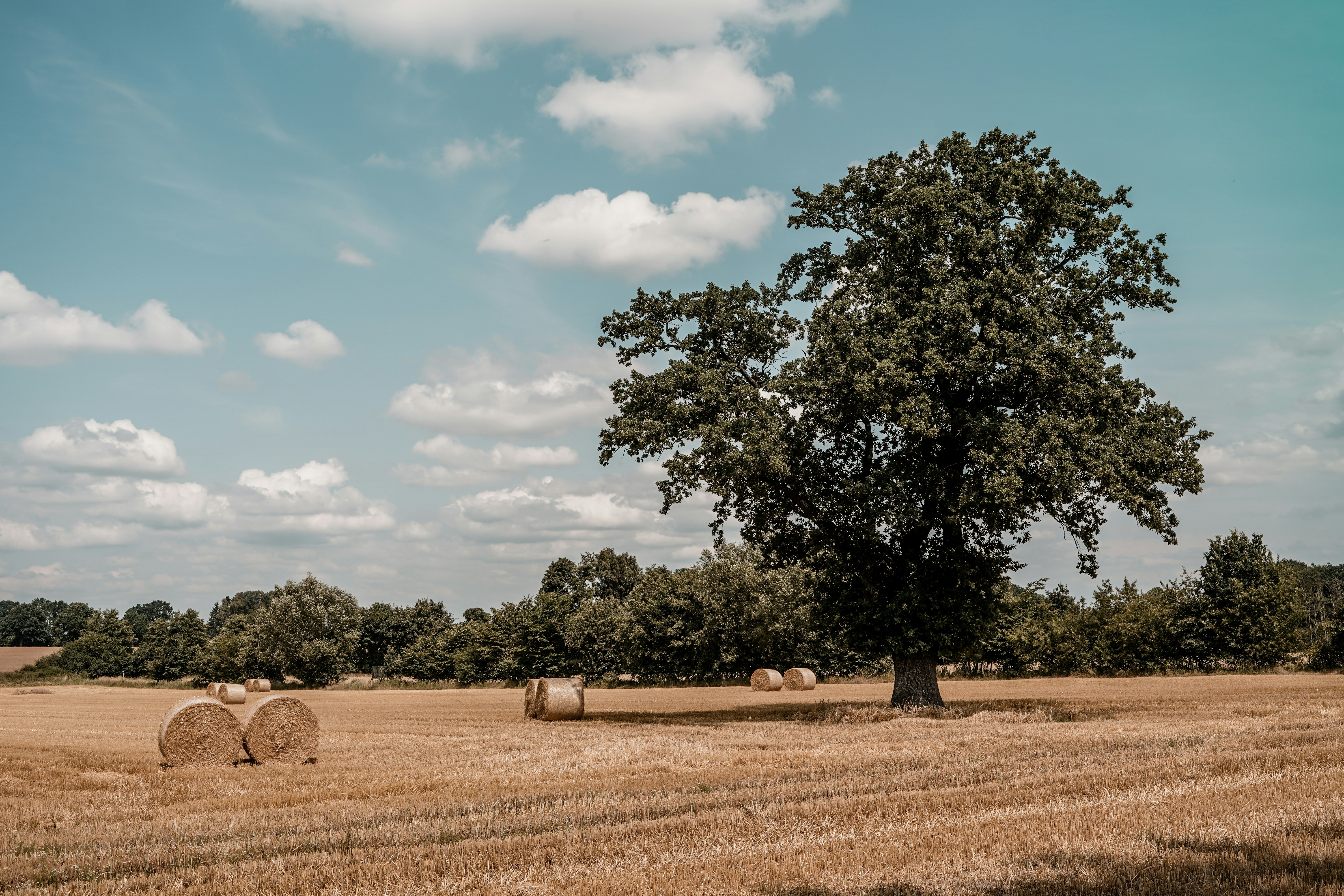natural landscape representing our work environment