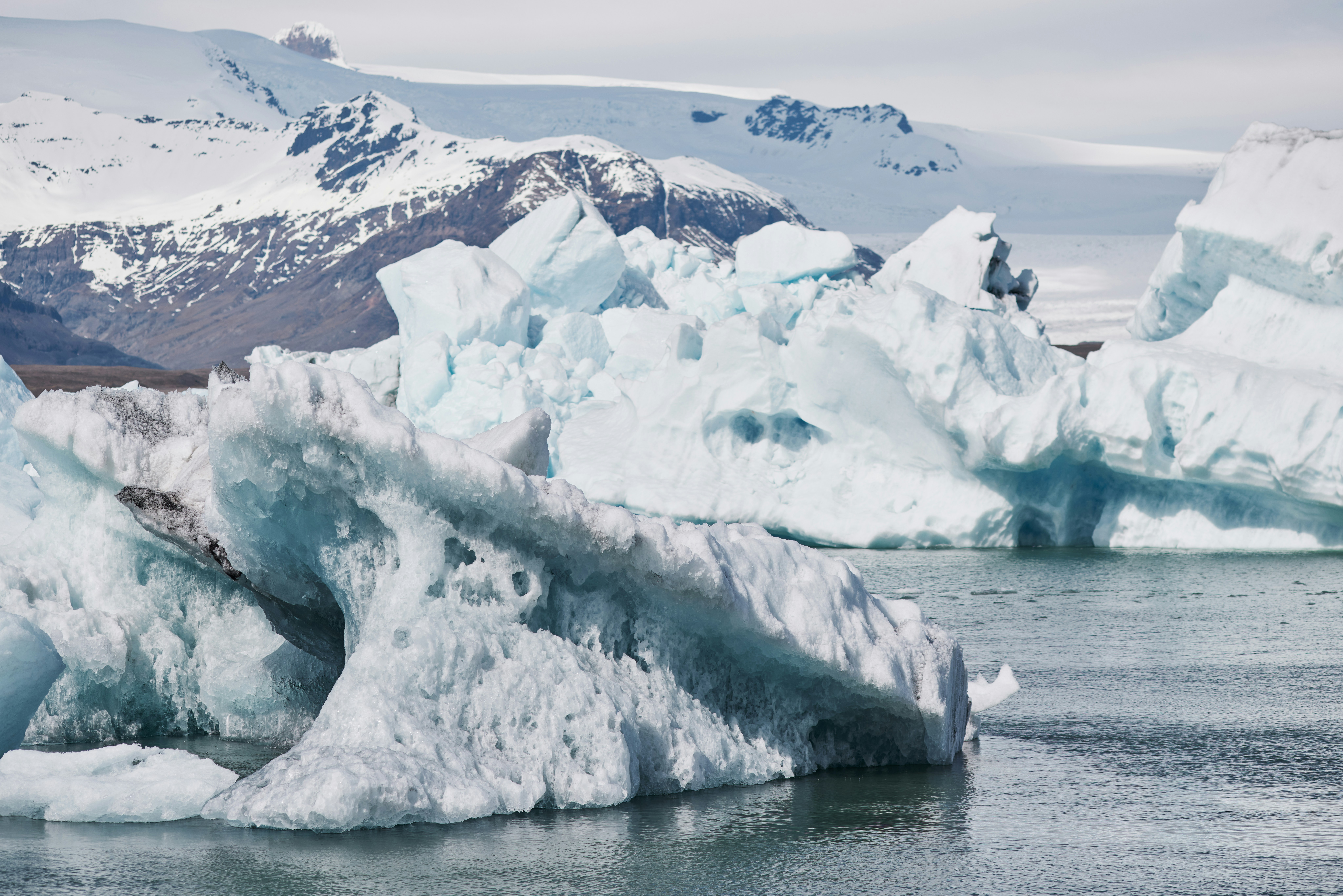 Icebergs floating in water with snowy mountains