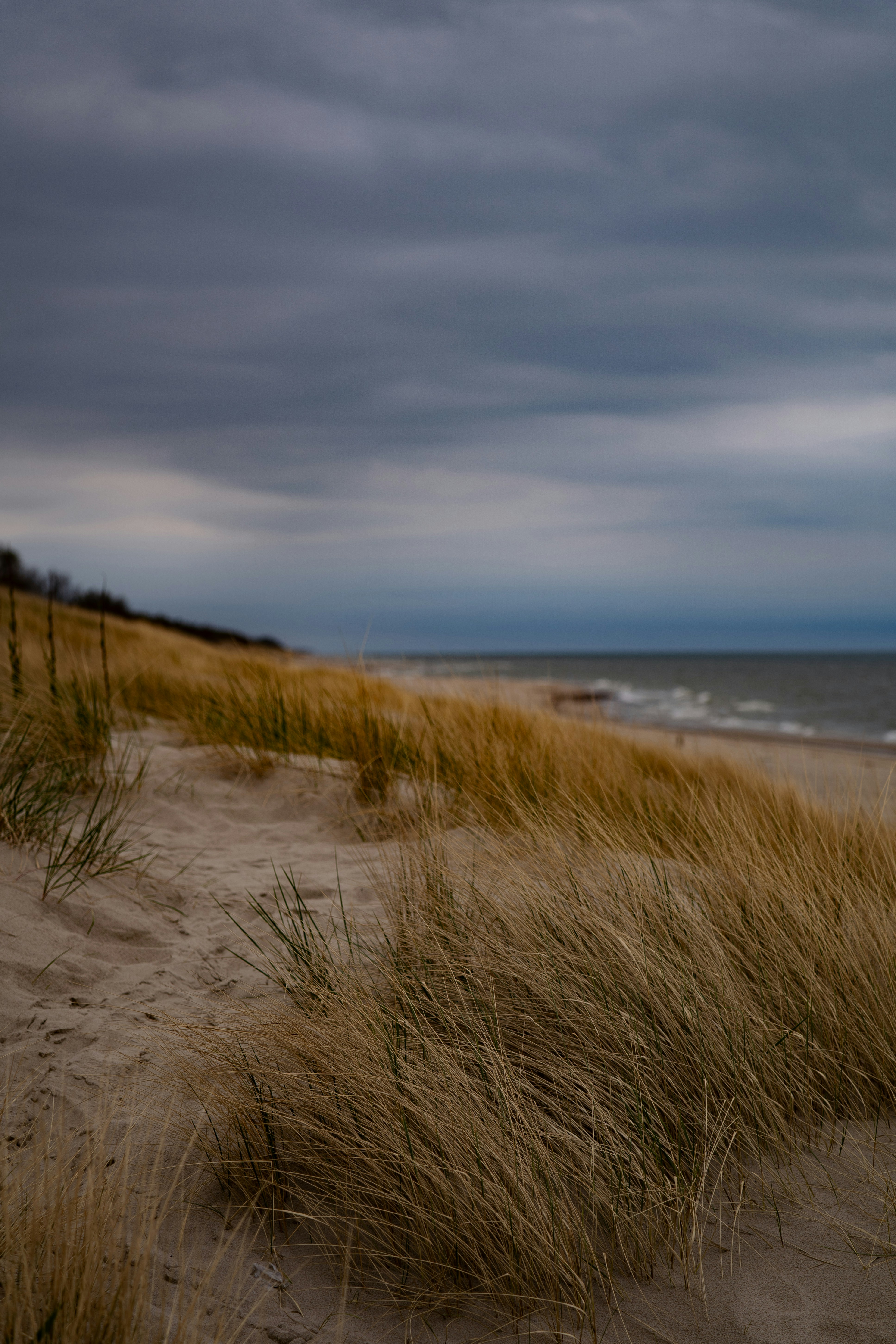Sandy beach with dry grass under a cloudy sky.