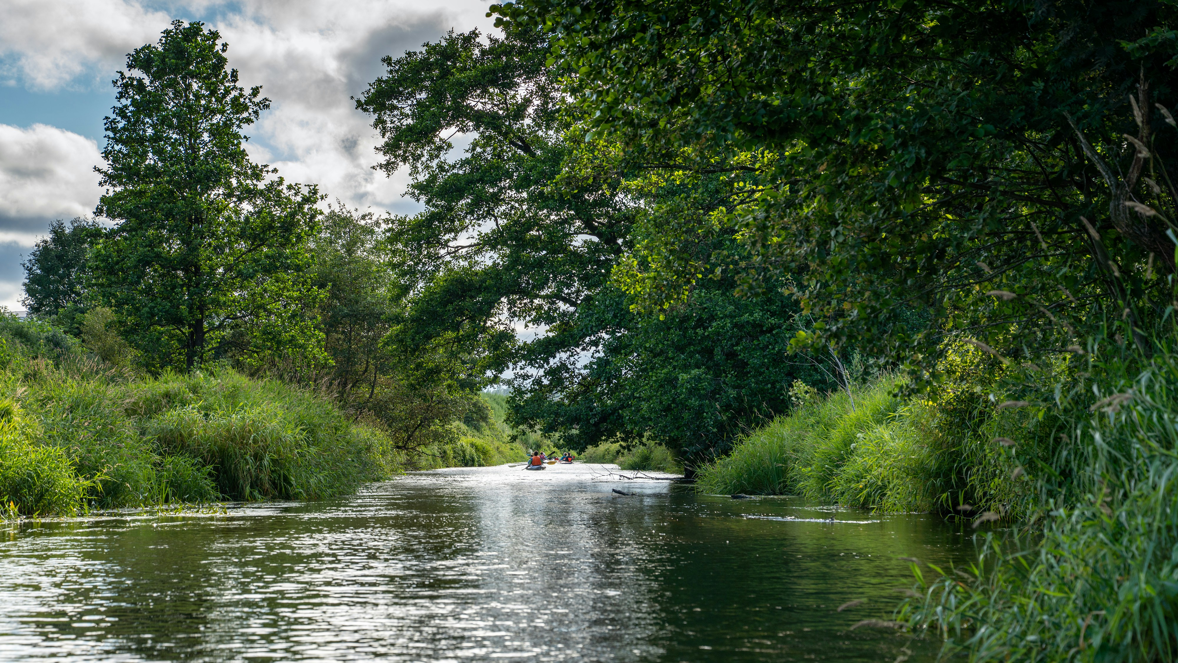 A small boat on a calm river surrounded by trees
