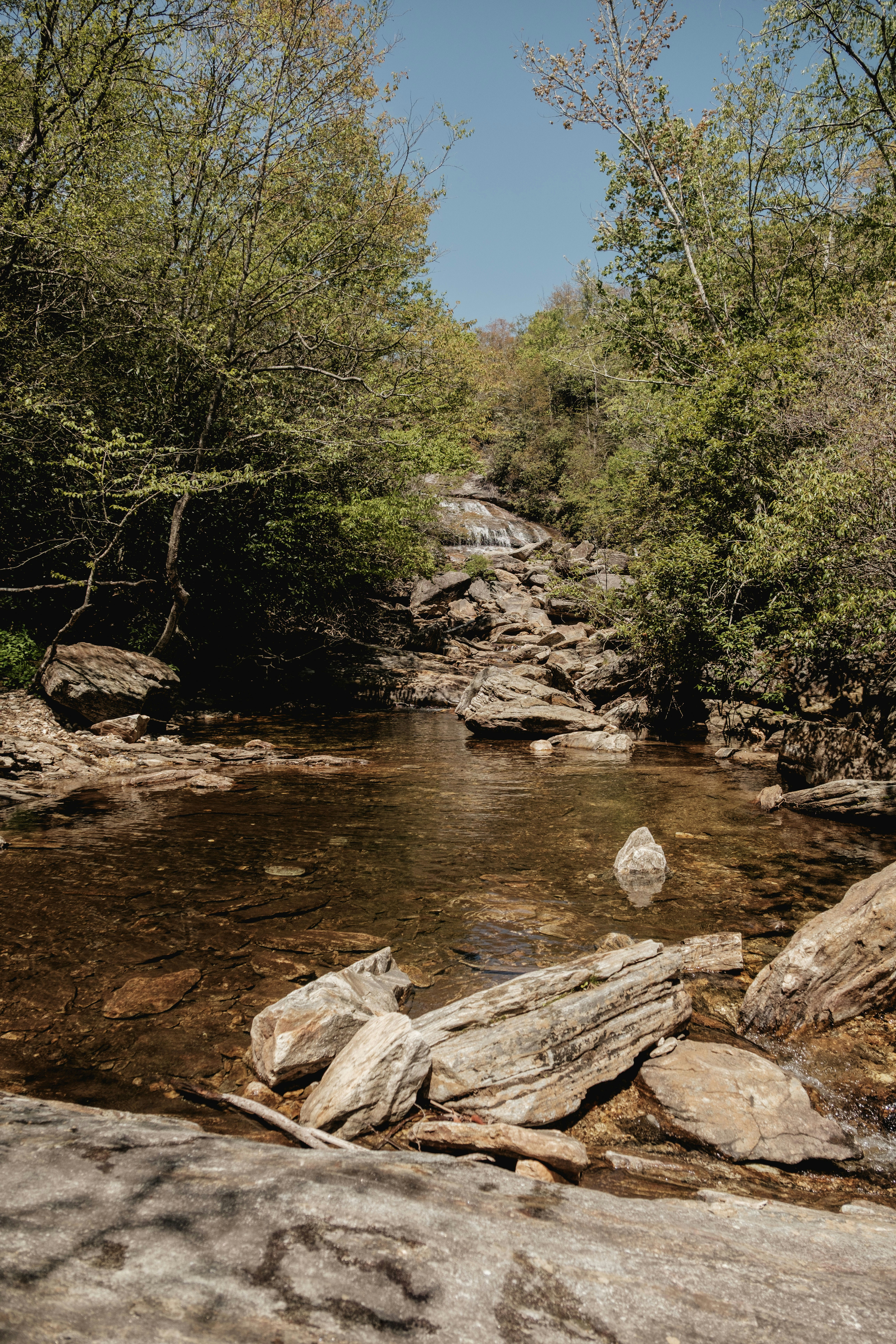 Cascading waterfall into a rocky forest pool