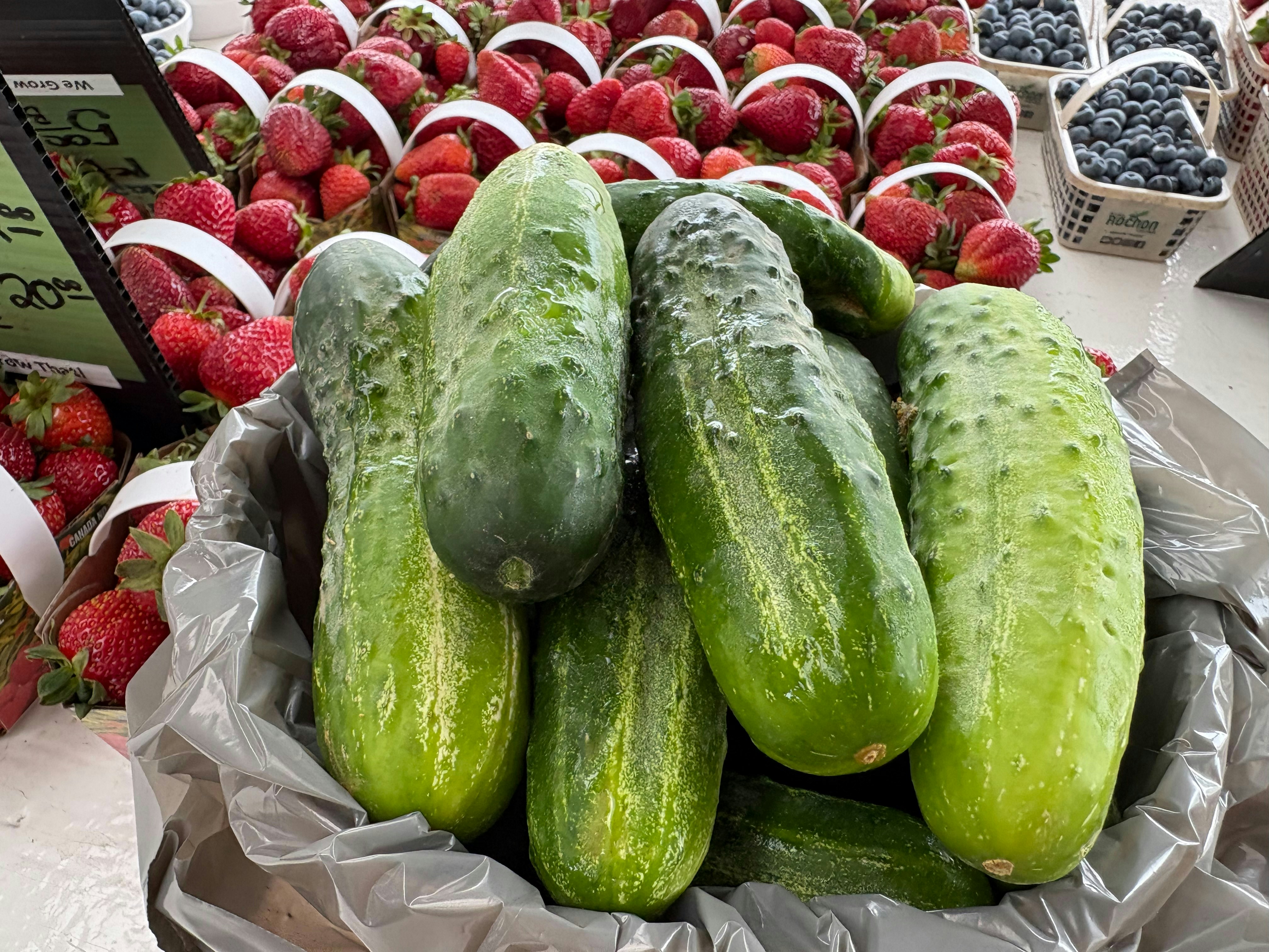 Fresh cucumbers piled in a produce bin