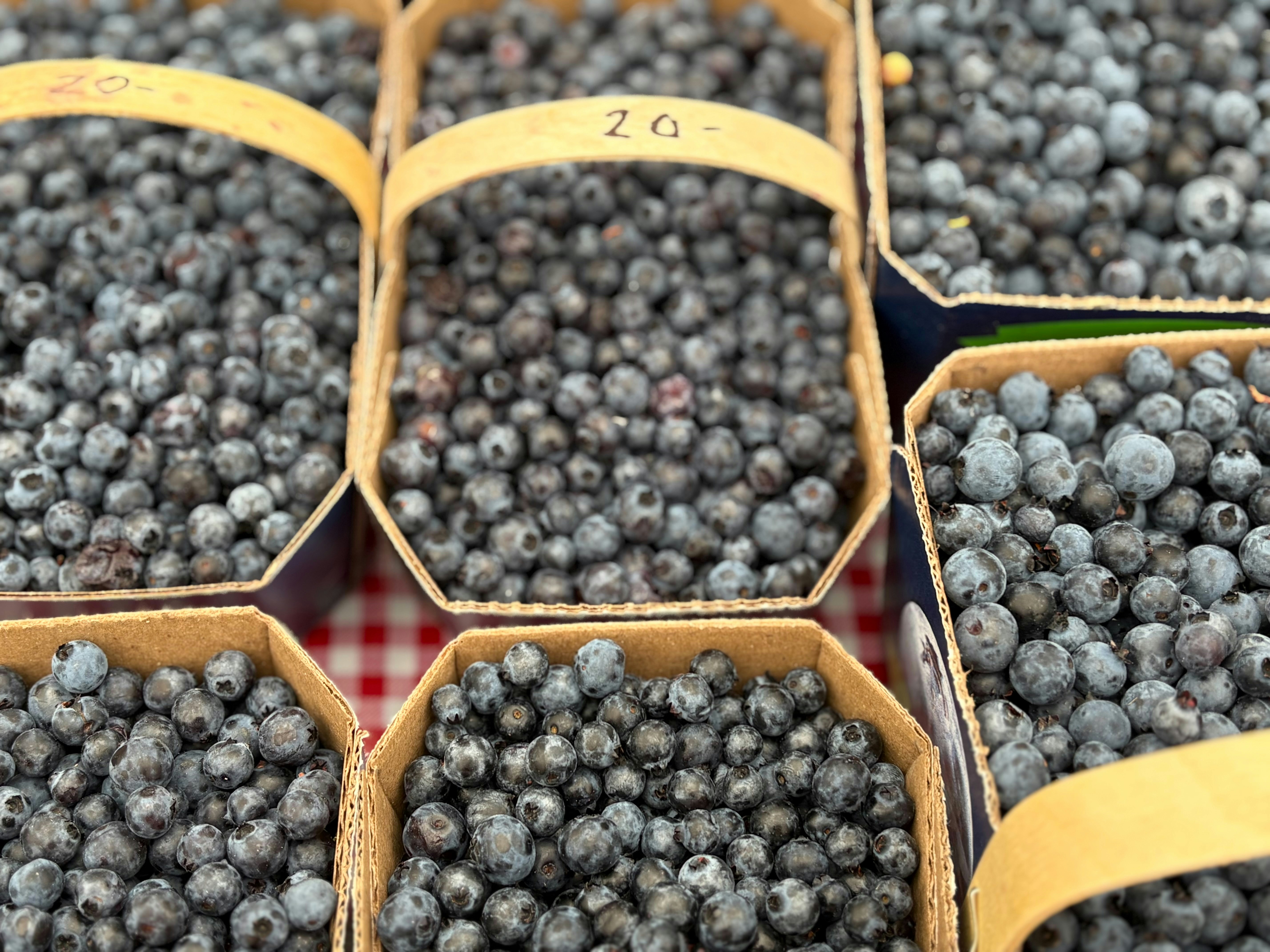 Small baskets overflowing with fresh, ripe blueberries at a market