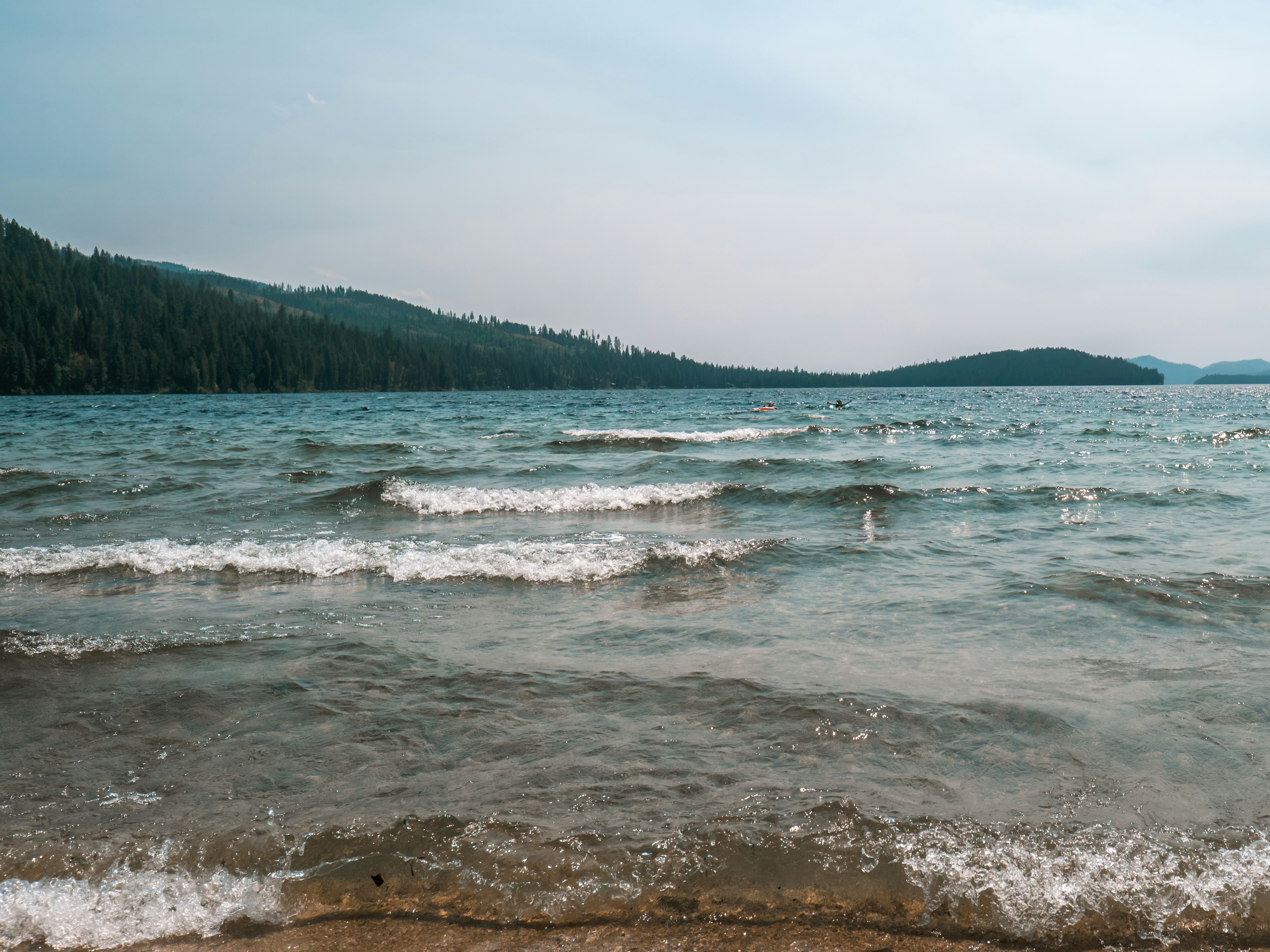 Gentle waves on a lake with forested mountains in background
