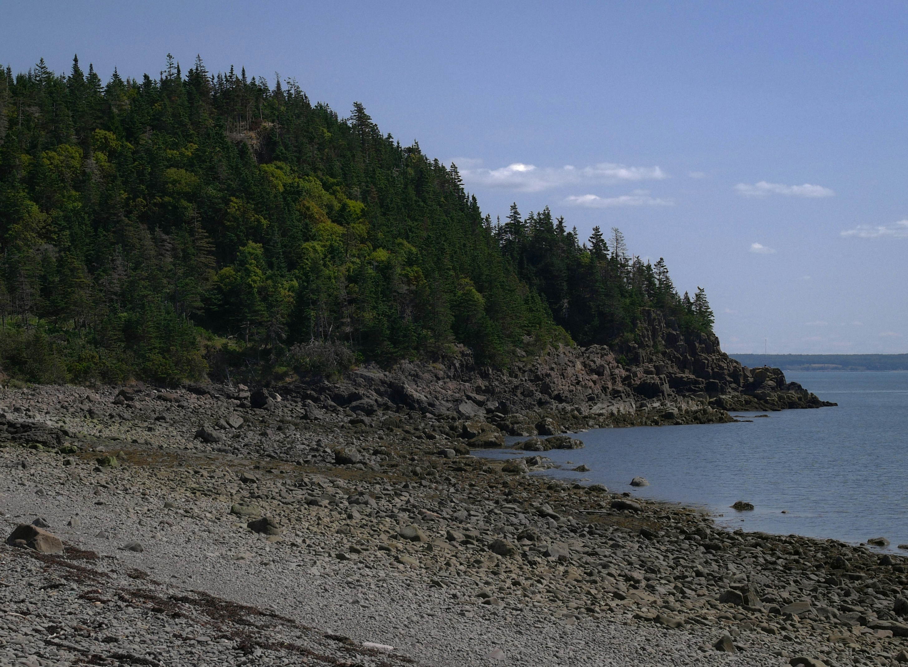 Rocky coastline with a forested cliff beside calm blue water.