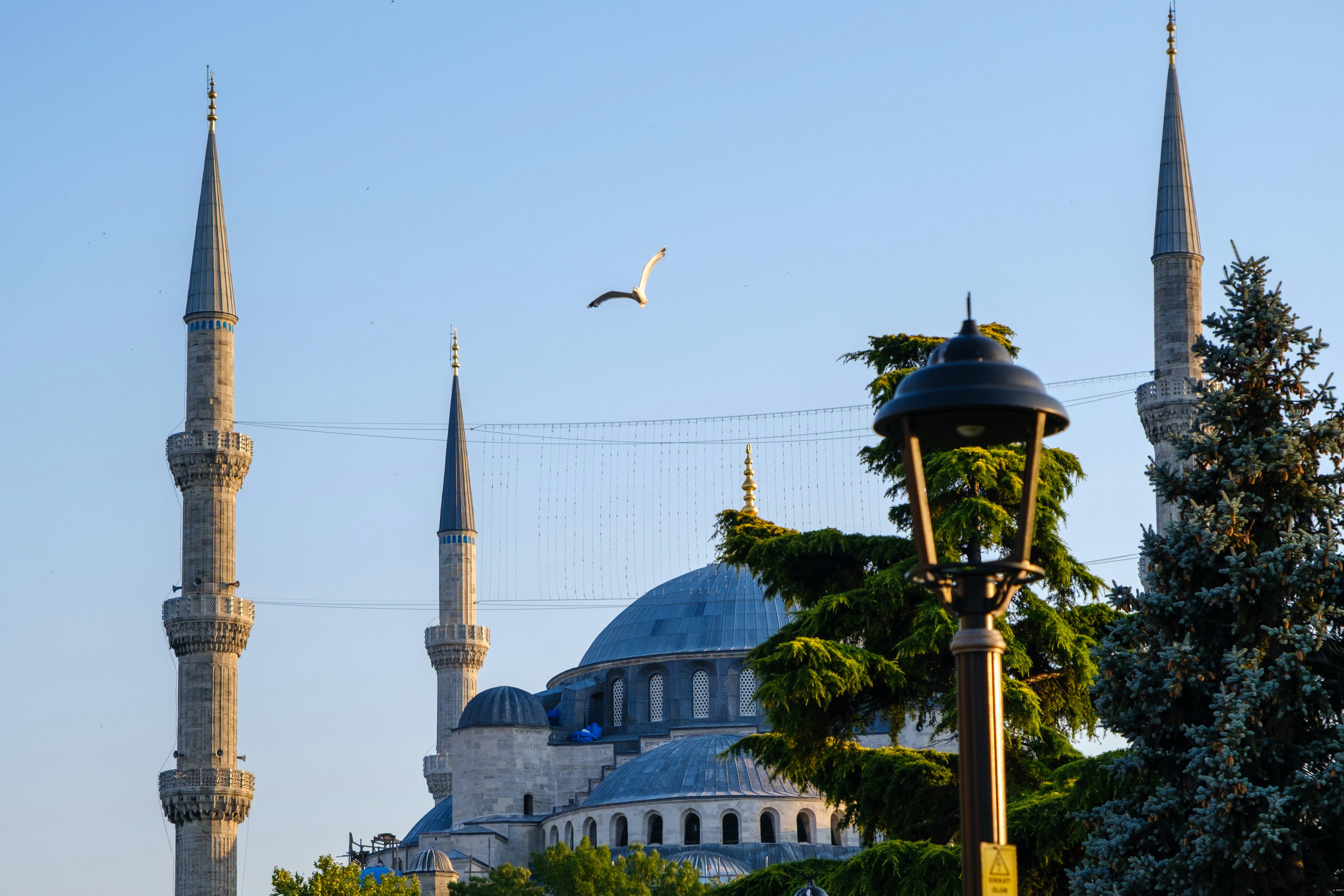 Blue mosque, minarets, street lamp, and a seagull flying.