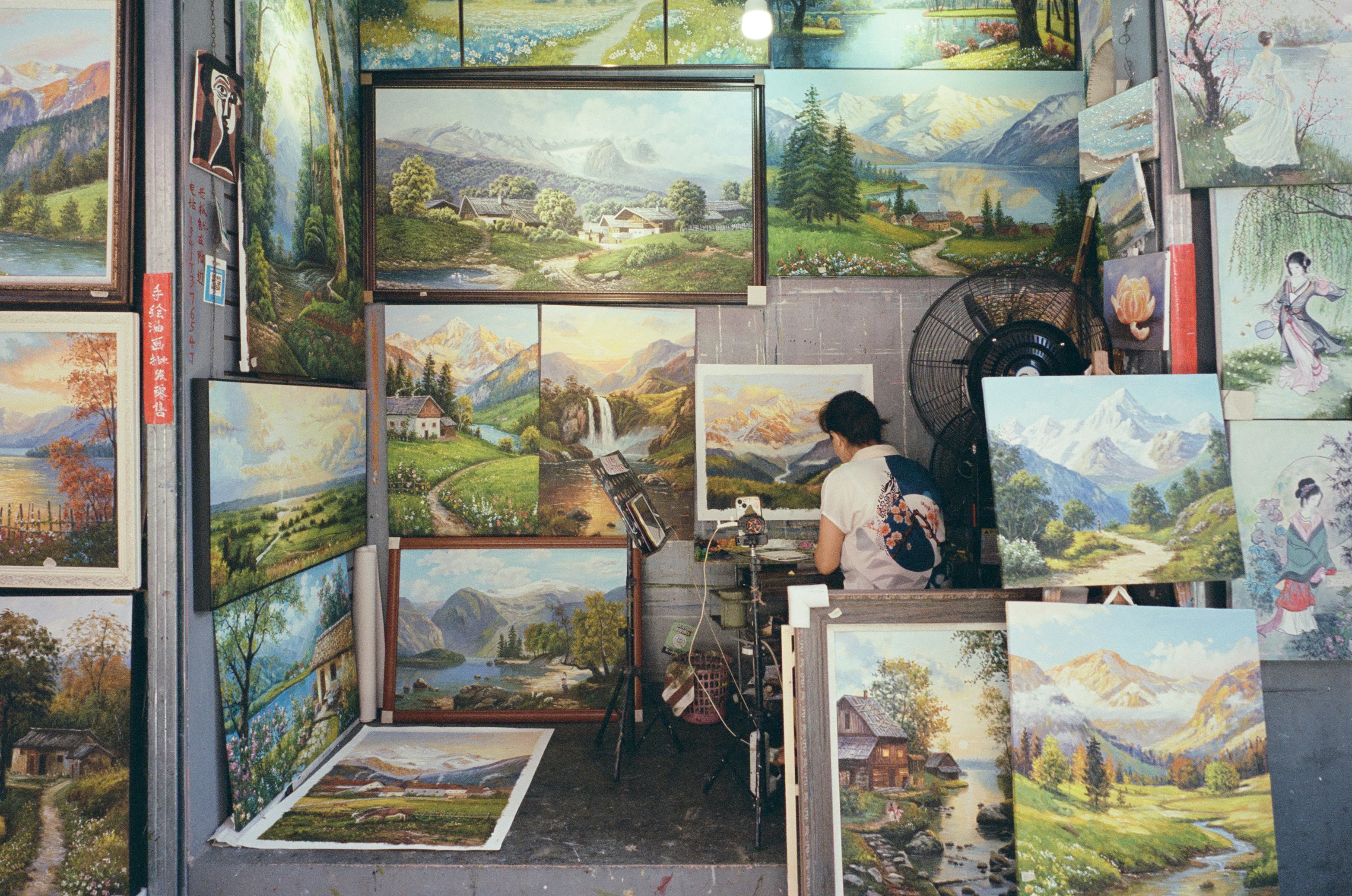 A person views numerous landscape paintings in an art stall