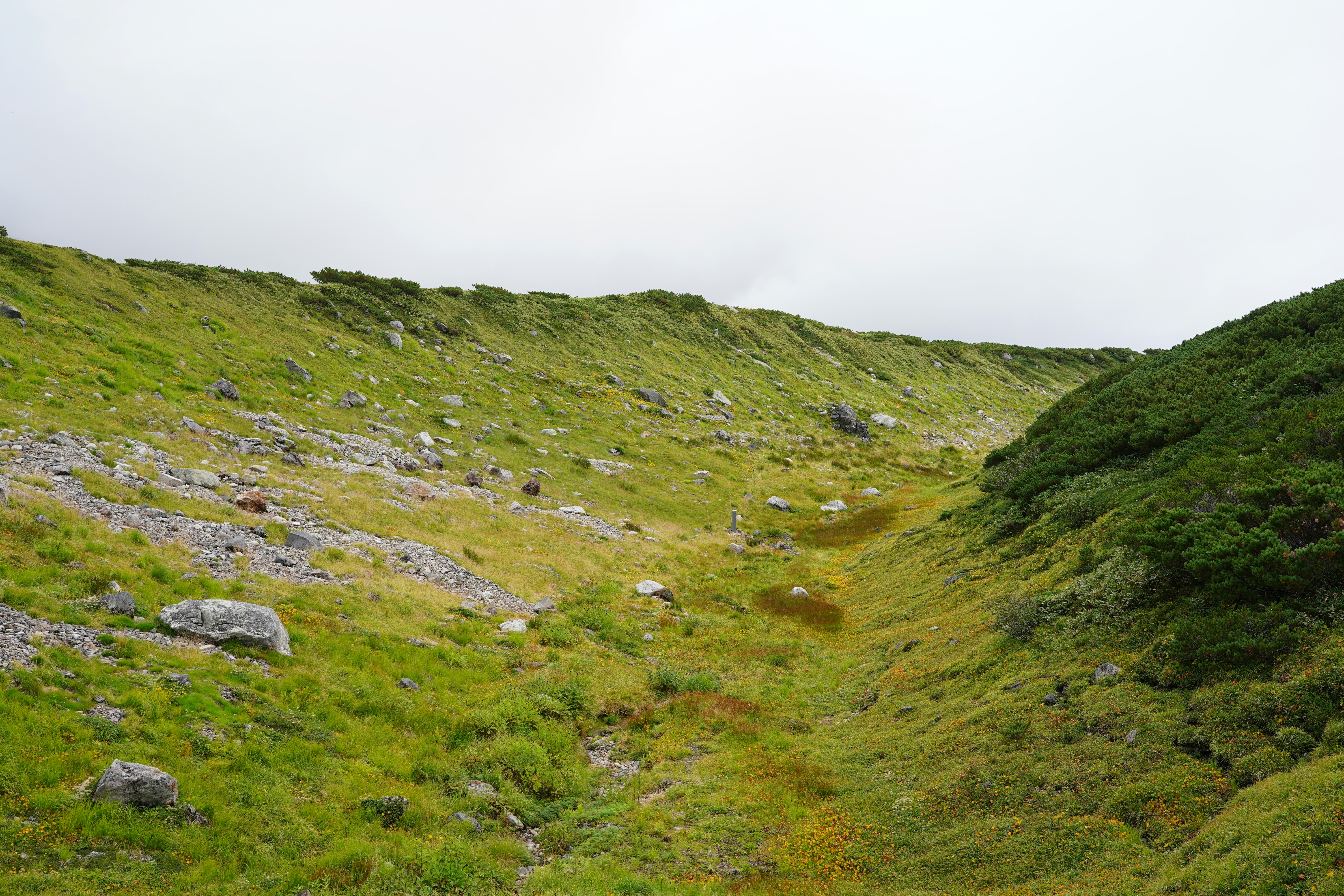 Green mountain valley with rocky slopes and small puddles