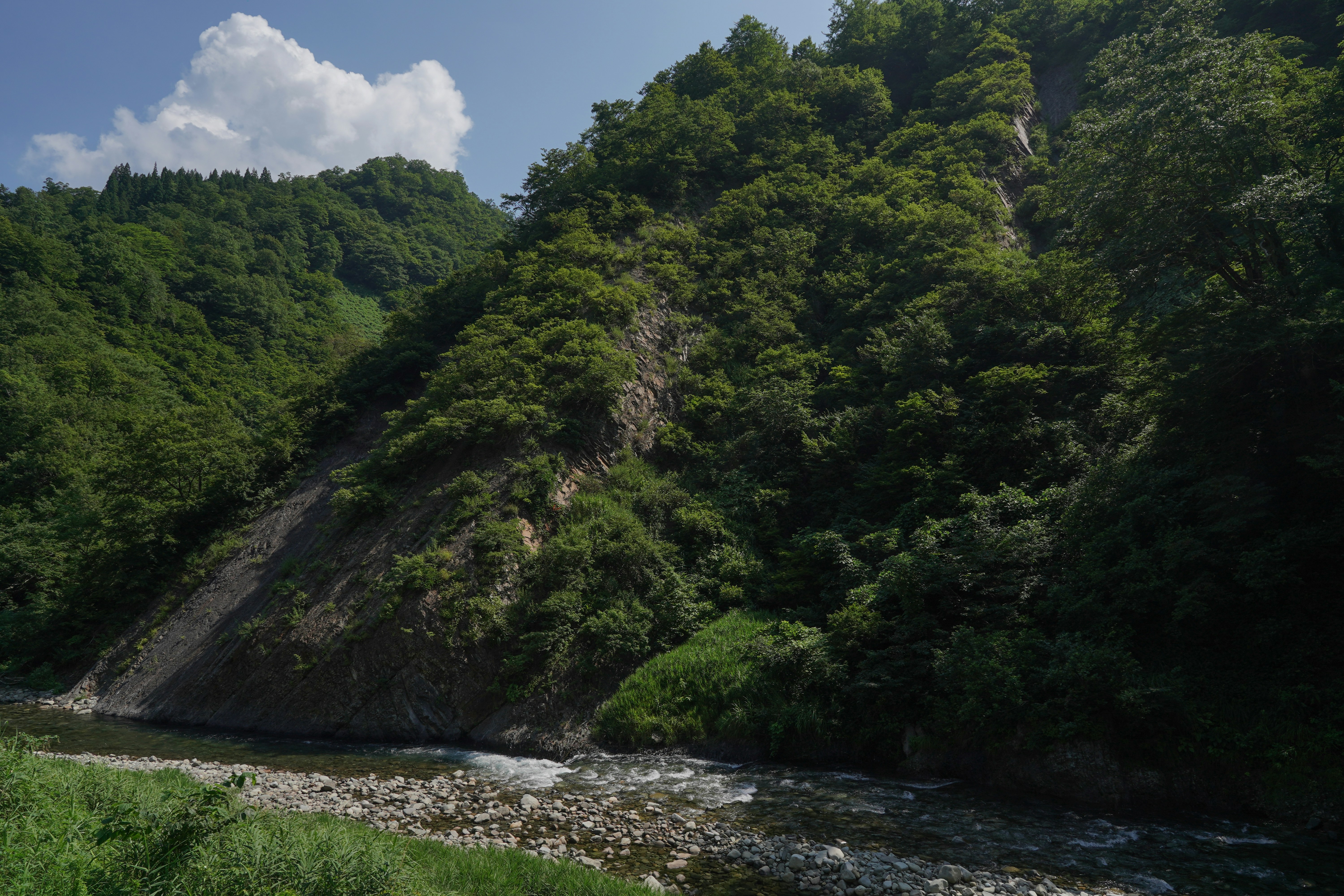 Lush green mountains tower over a flowing river