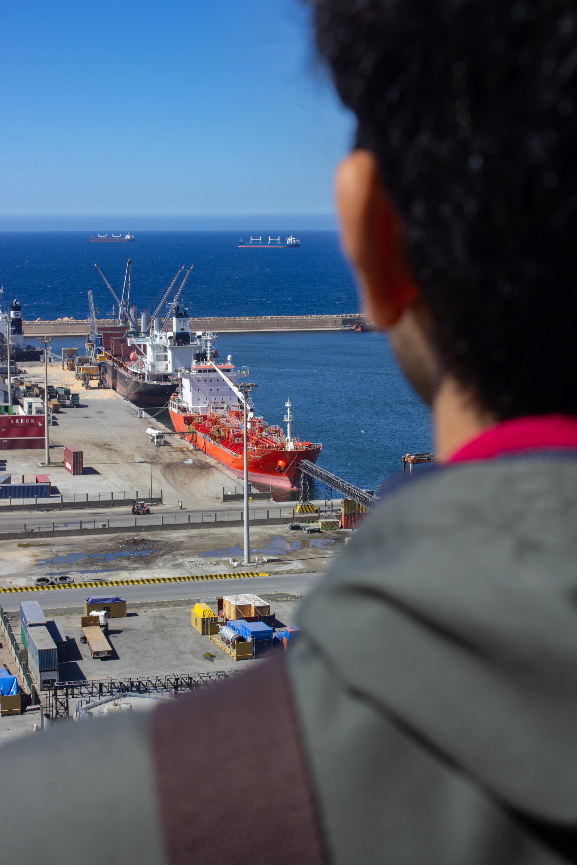 Man overlooks a busy port with ships and ocean.