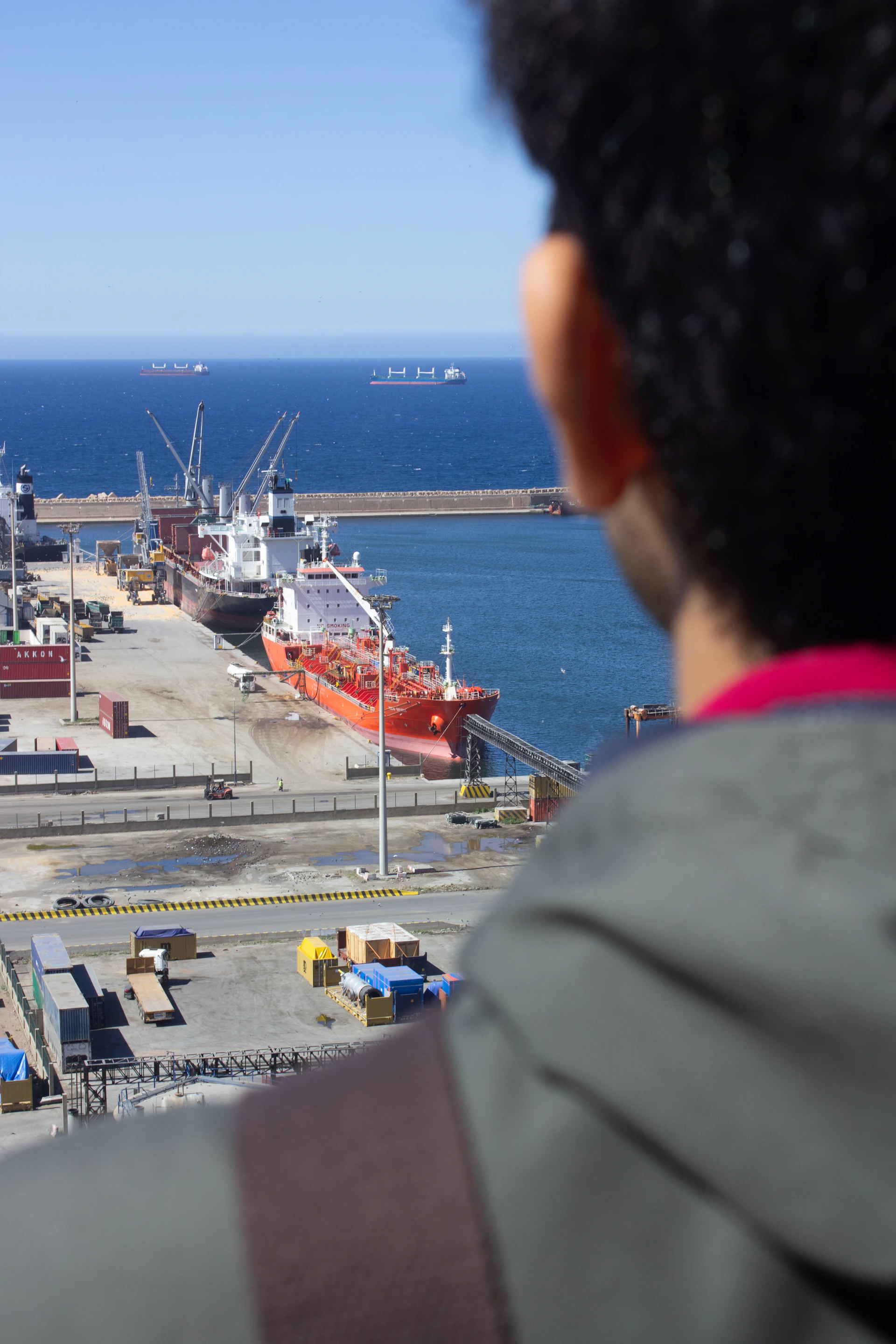 Person views cargo ships docked in a bustling port