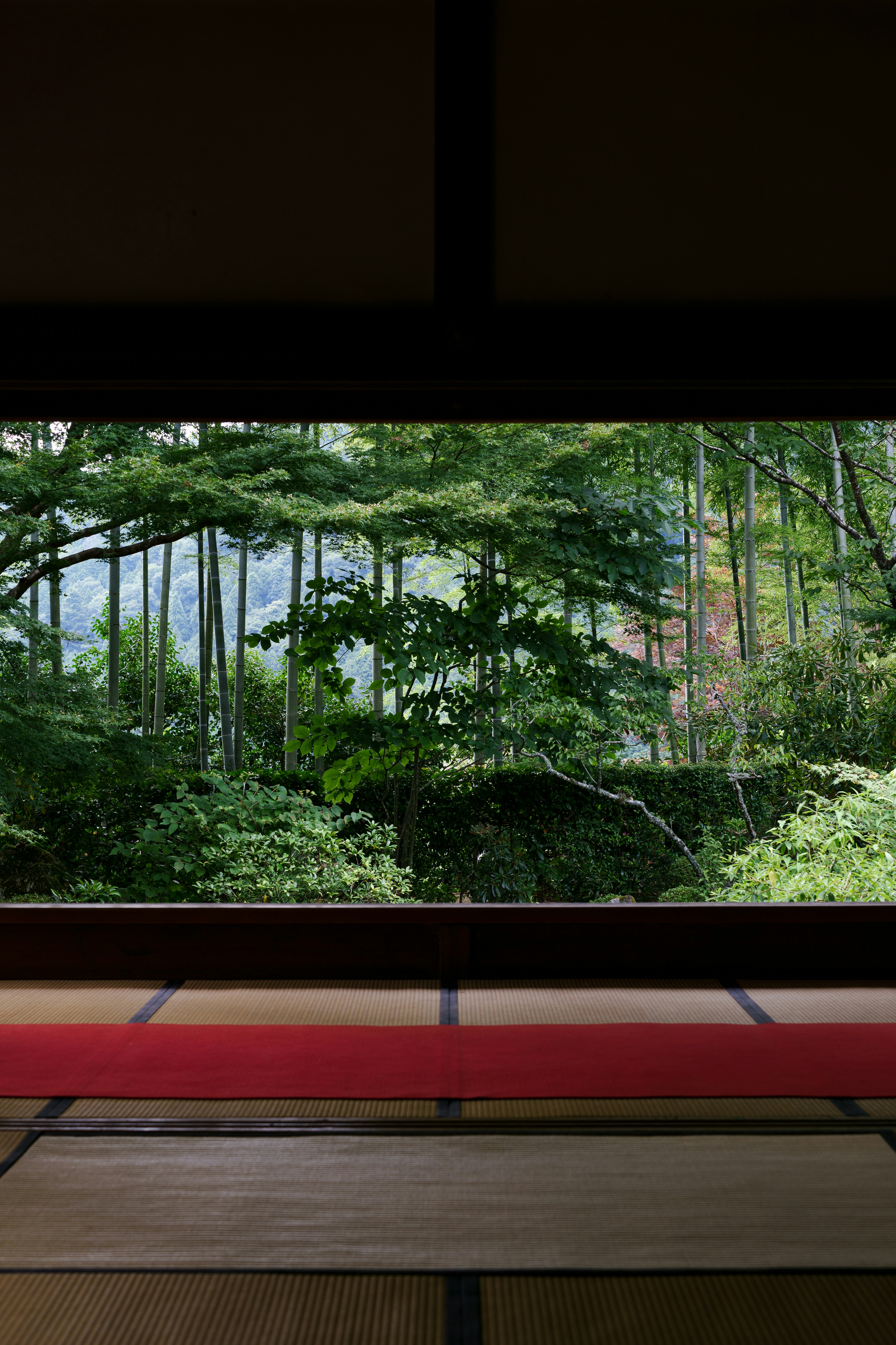 Salle japonaise traditionnelle surplombant une forêt de bambous vert éclatant.