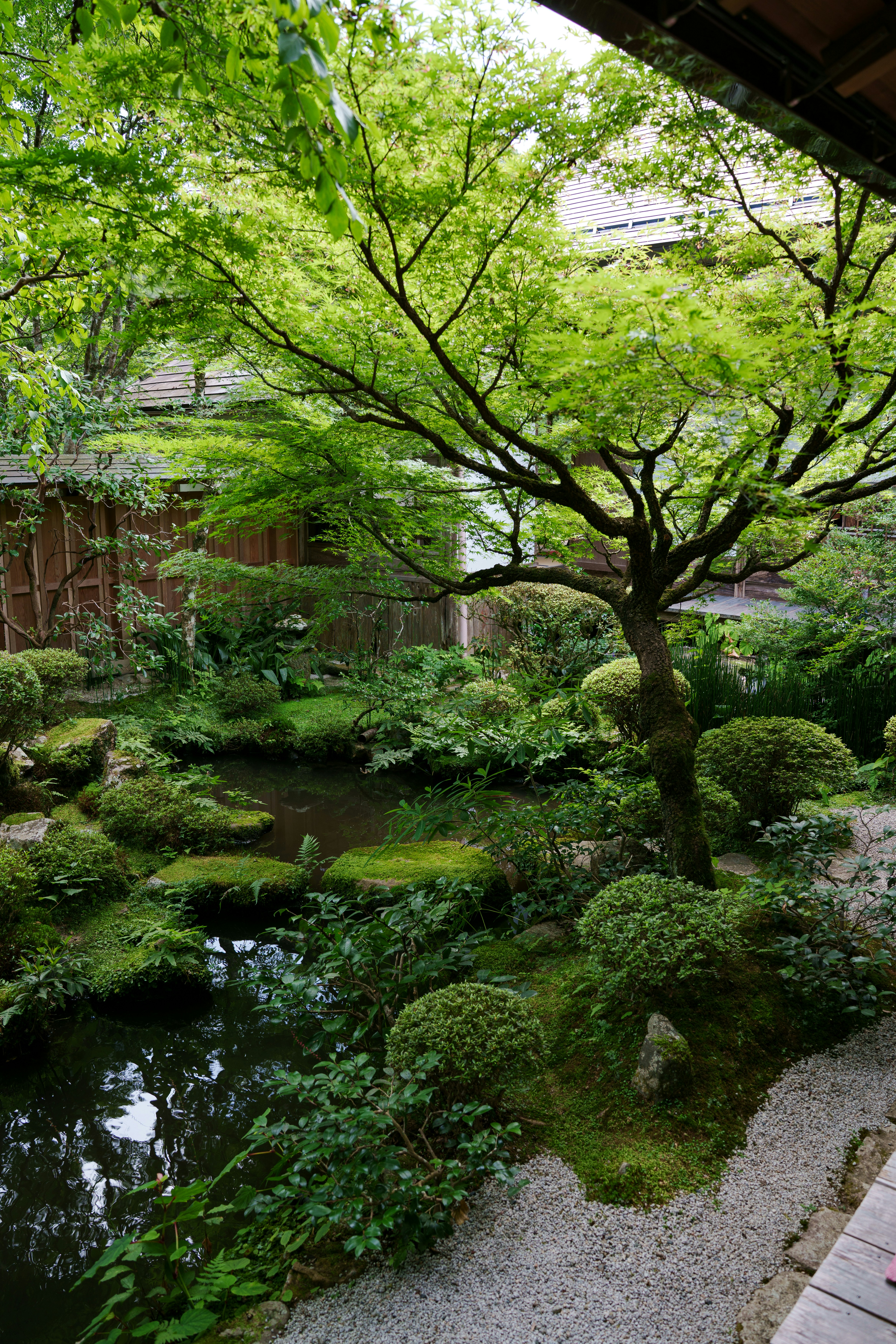 Un jardin japonais luxuriant avec un étang et un arbre.