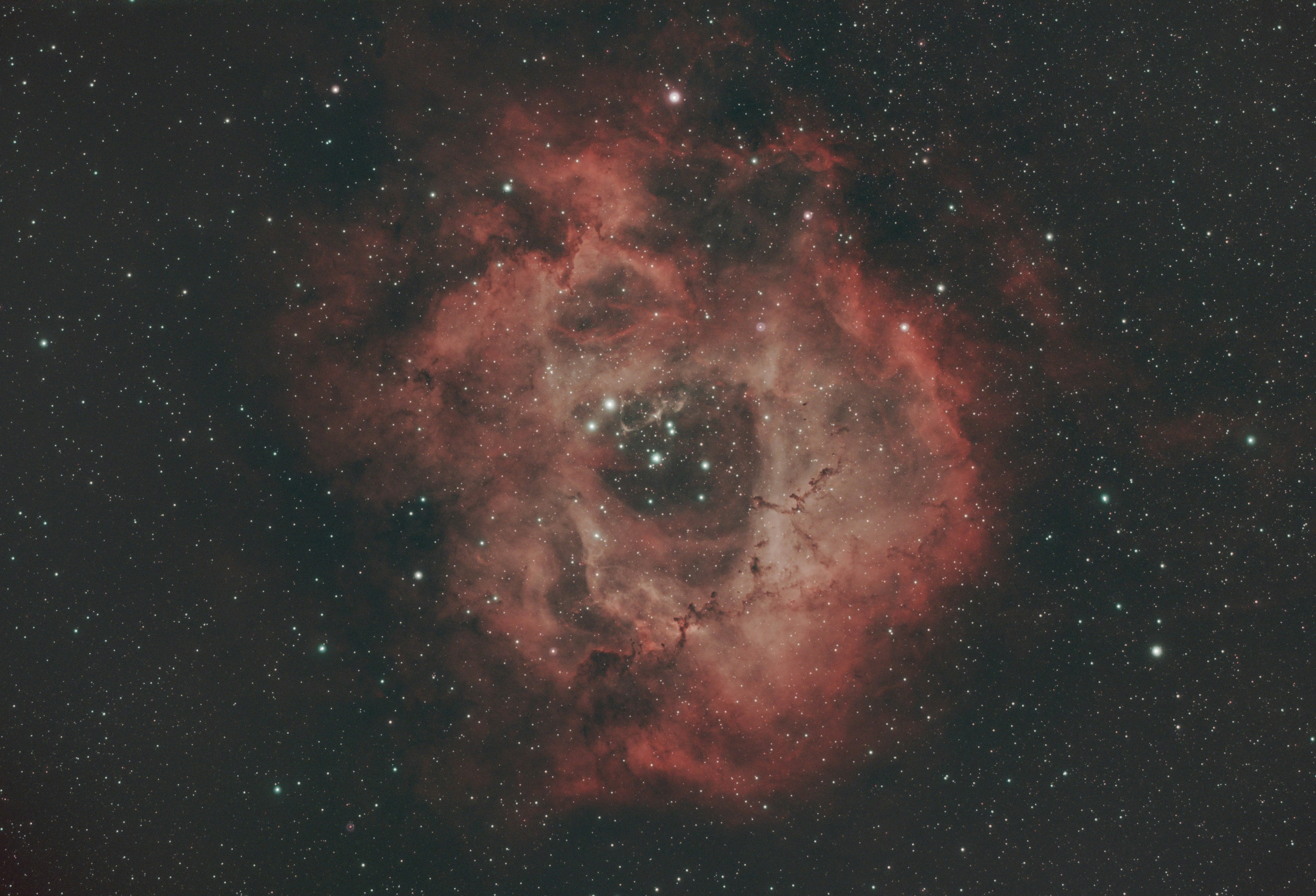Red rosette nebula with a central cluster of bright stars