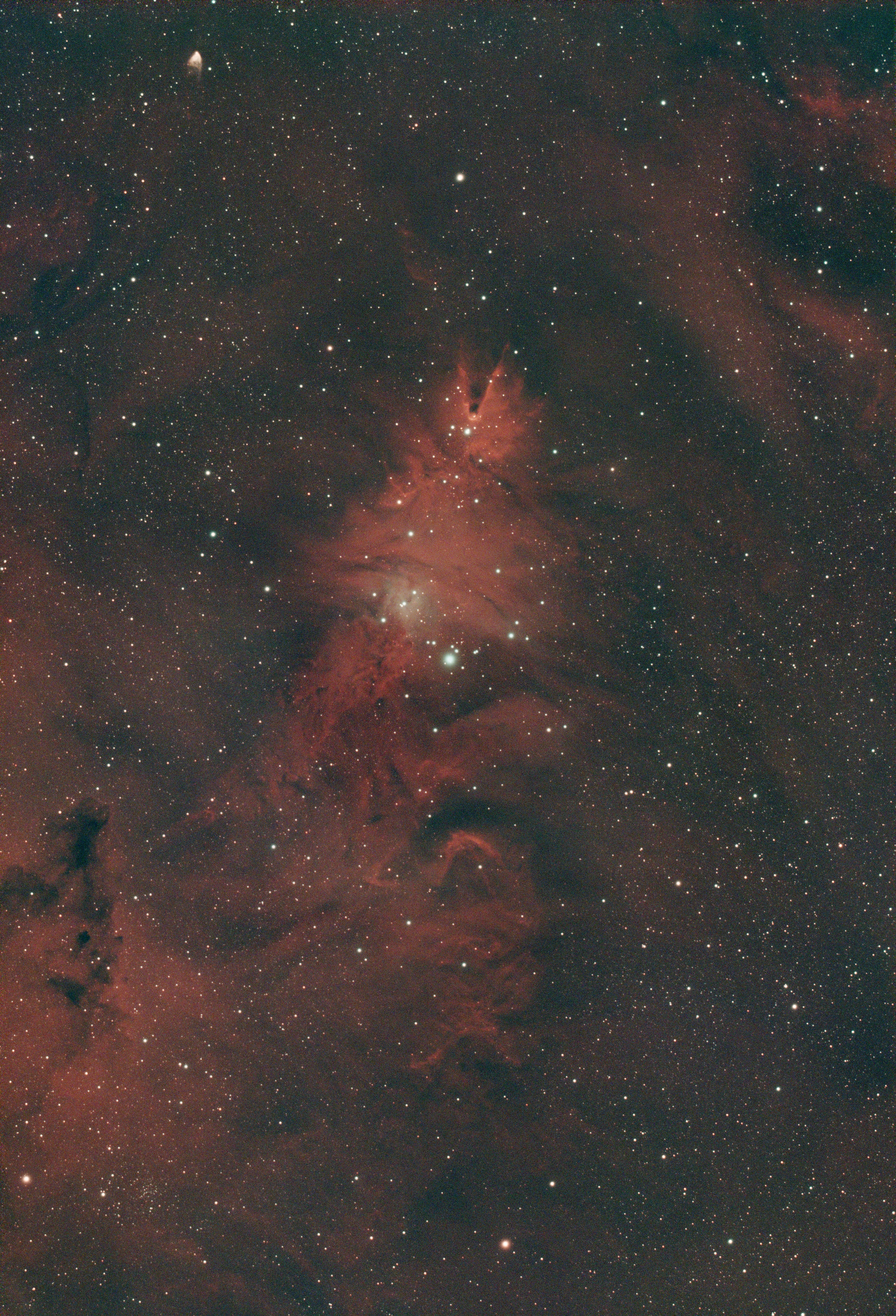 An astrophotograph of the Christmas Tree Cluster and Cone Nebula region (NGC 2264) in Monoceros. Sculpted by the intense stellar winds of nearby bright stars, dark dust pillars and glowing red hydrogen gas form a majestic celestial landscape.