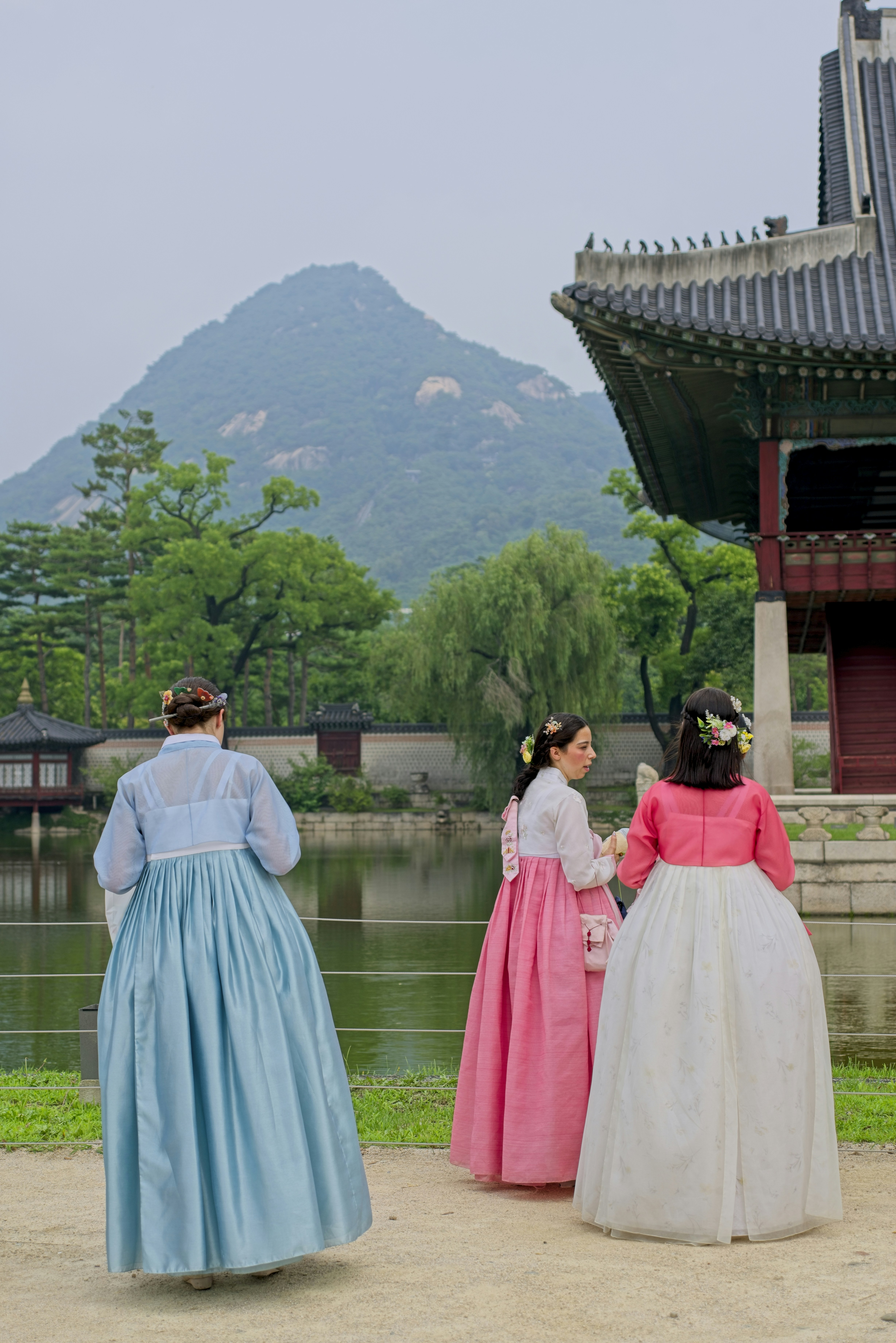 Jeju Island: Where the Story First Took Flight