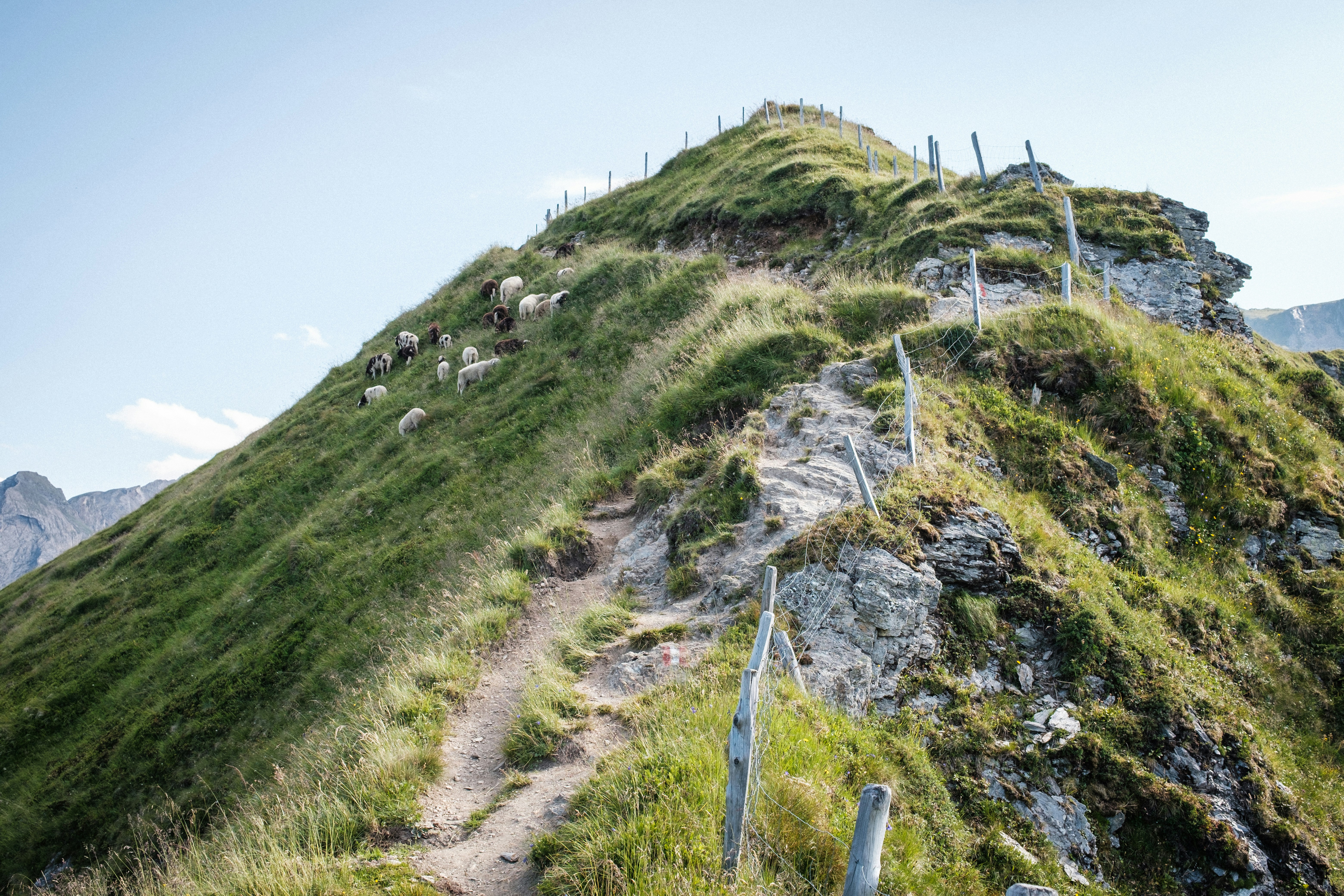 mountain ridge stairs steep cliff trail