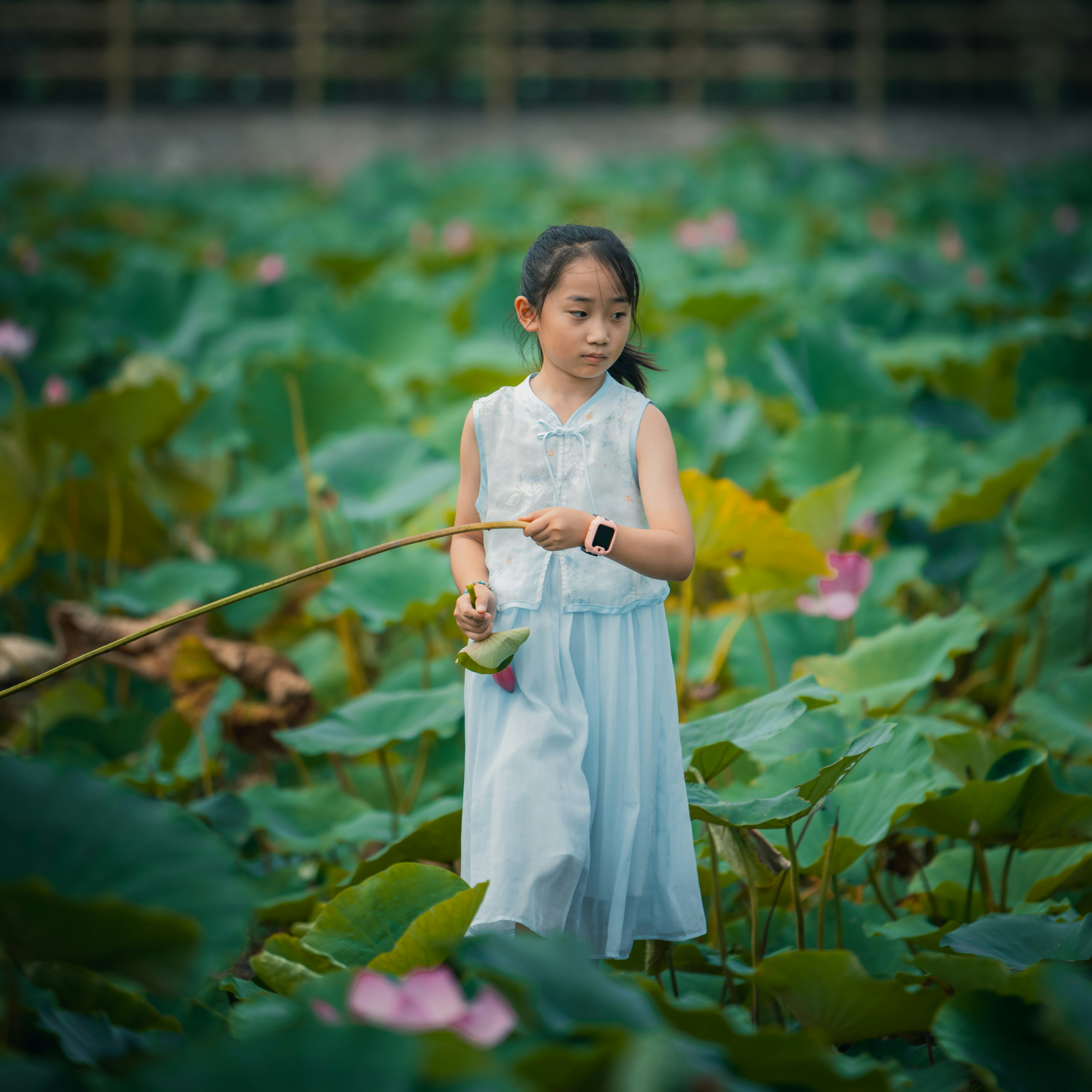 Una ragazzina che tiene un fiore di loto che cammina attraverso un campo.