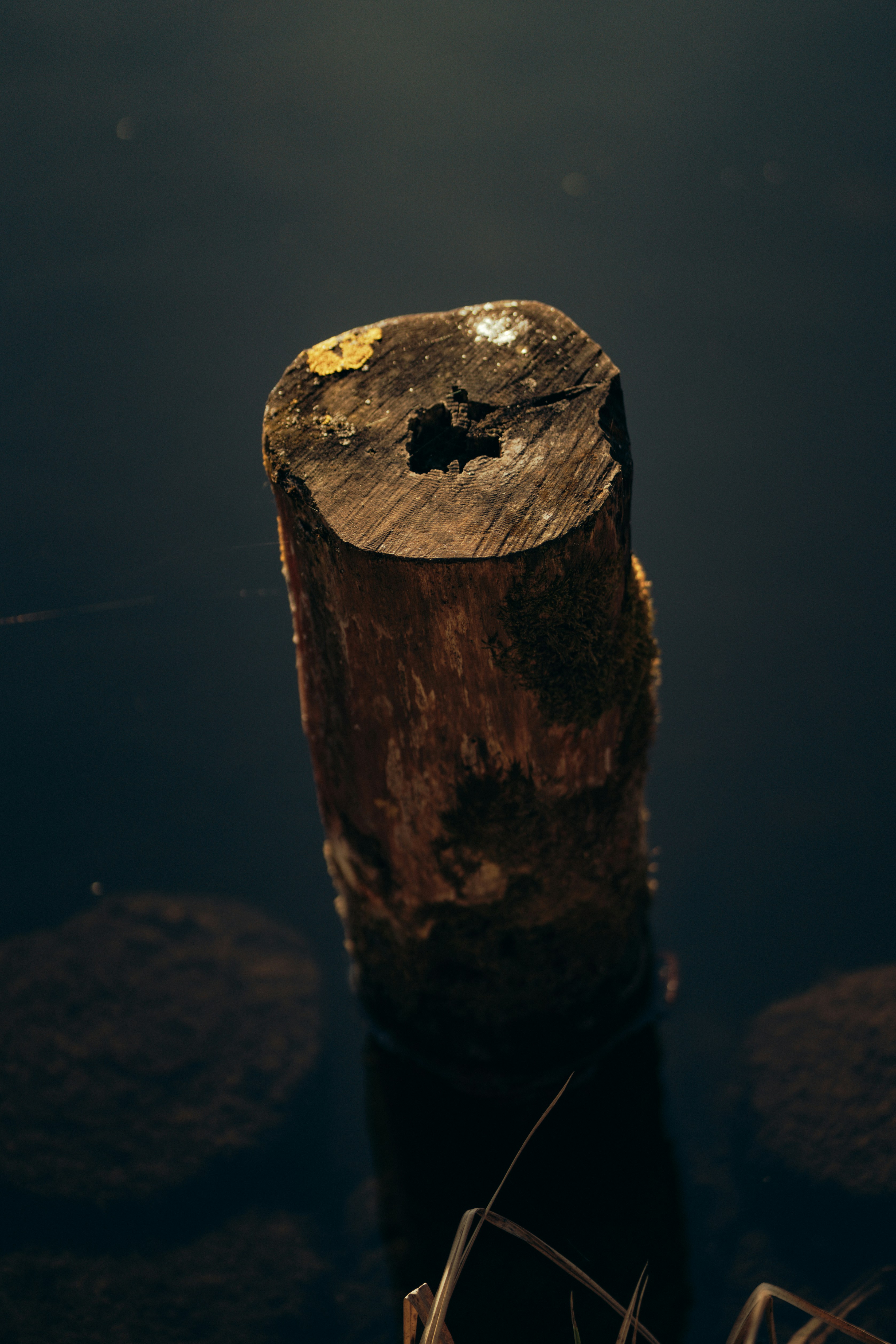 Verwitterter Baumstamm mit hohlem Zentrum im dunklen Wasser.